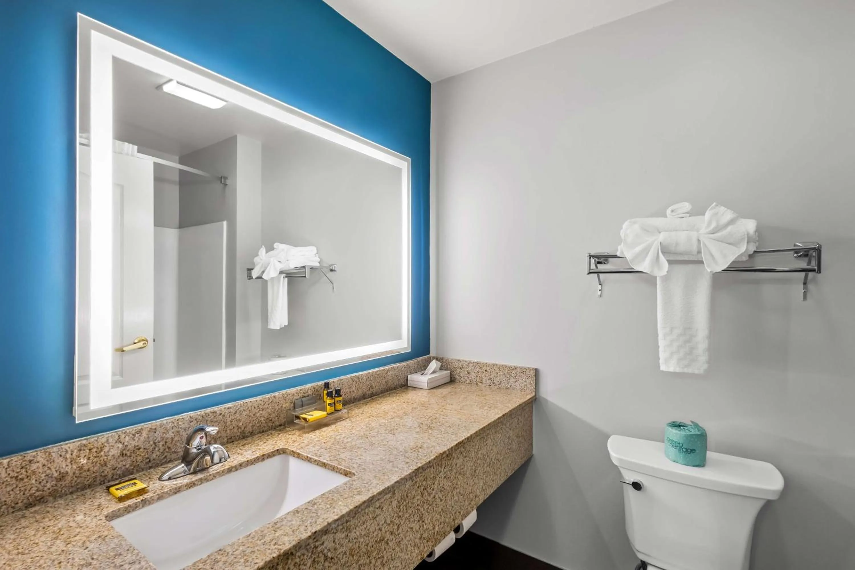Bathroom in Best Western Fort Wayne Inn & Suites North