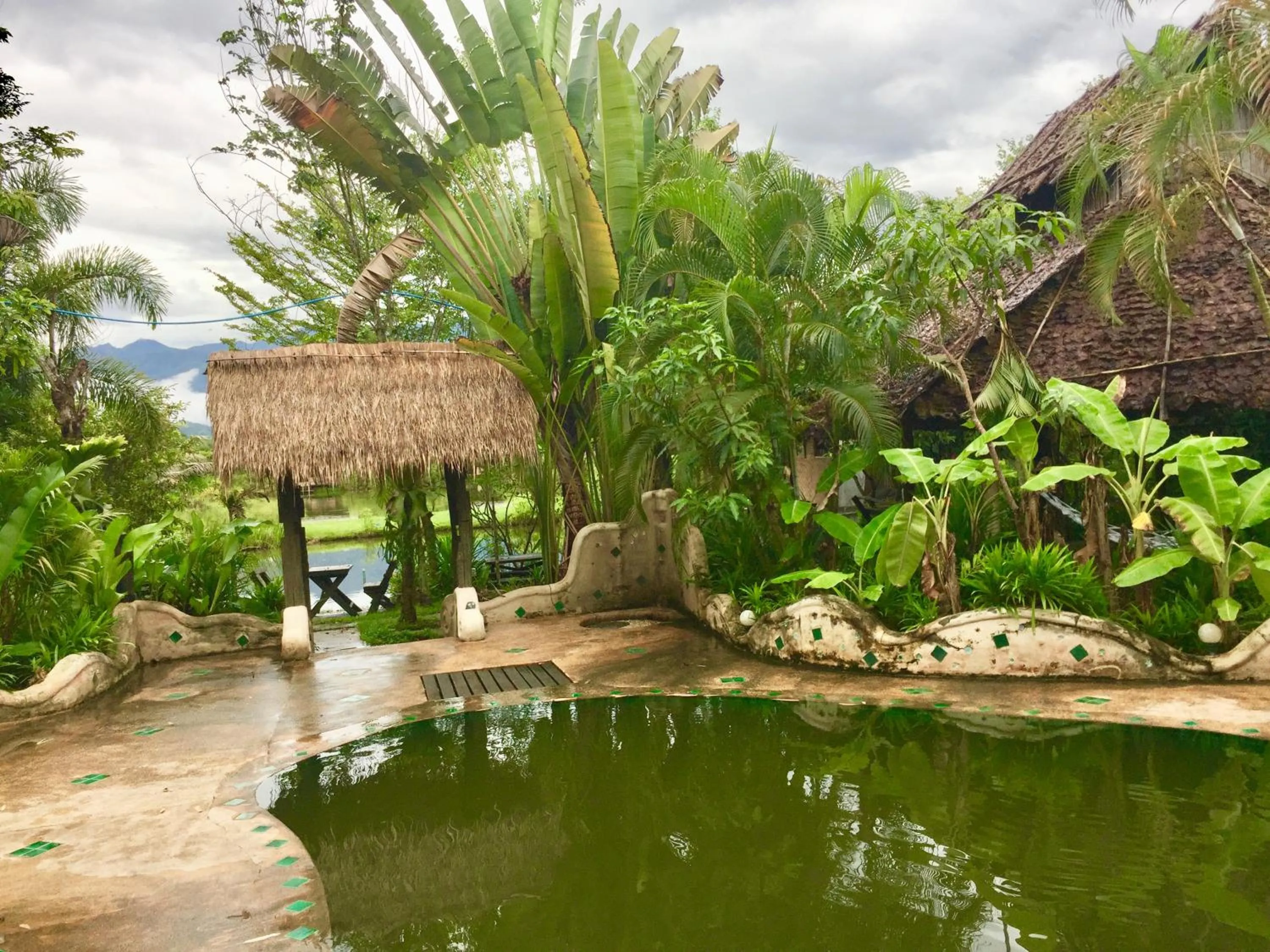 Garden in Bueng Pai Farm บึงปายฟาร์ม