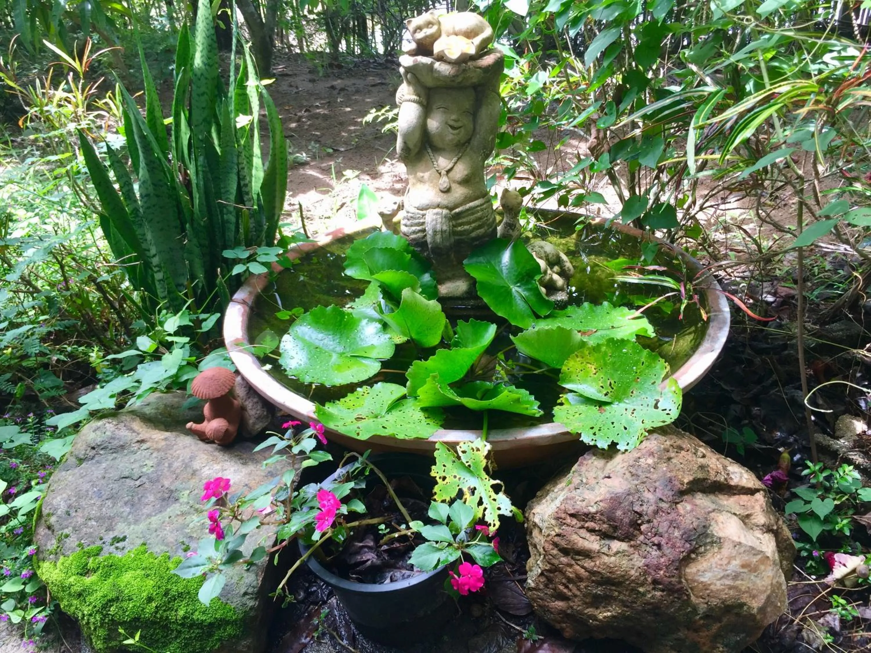 Garden in Bueng Pai Farm บึงปายฟาร์ม