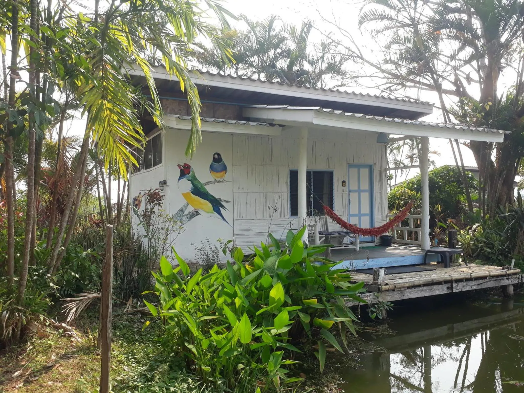 Bueng Pai Farm บึงปายฟาร์ม