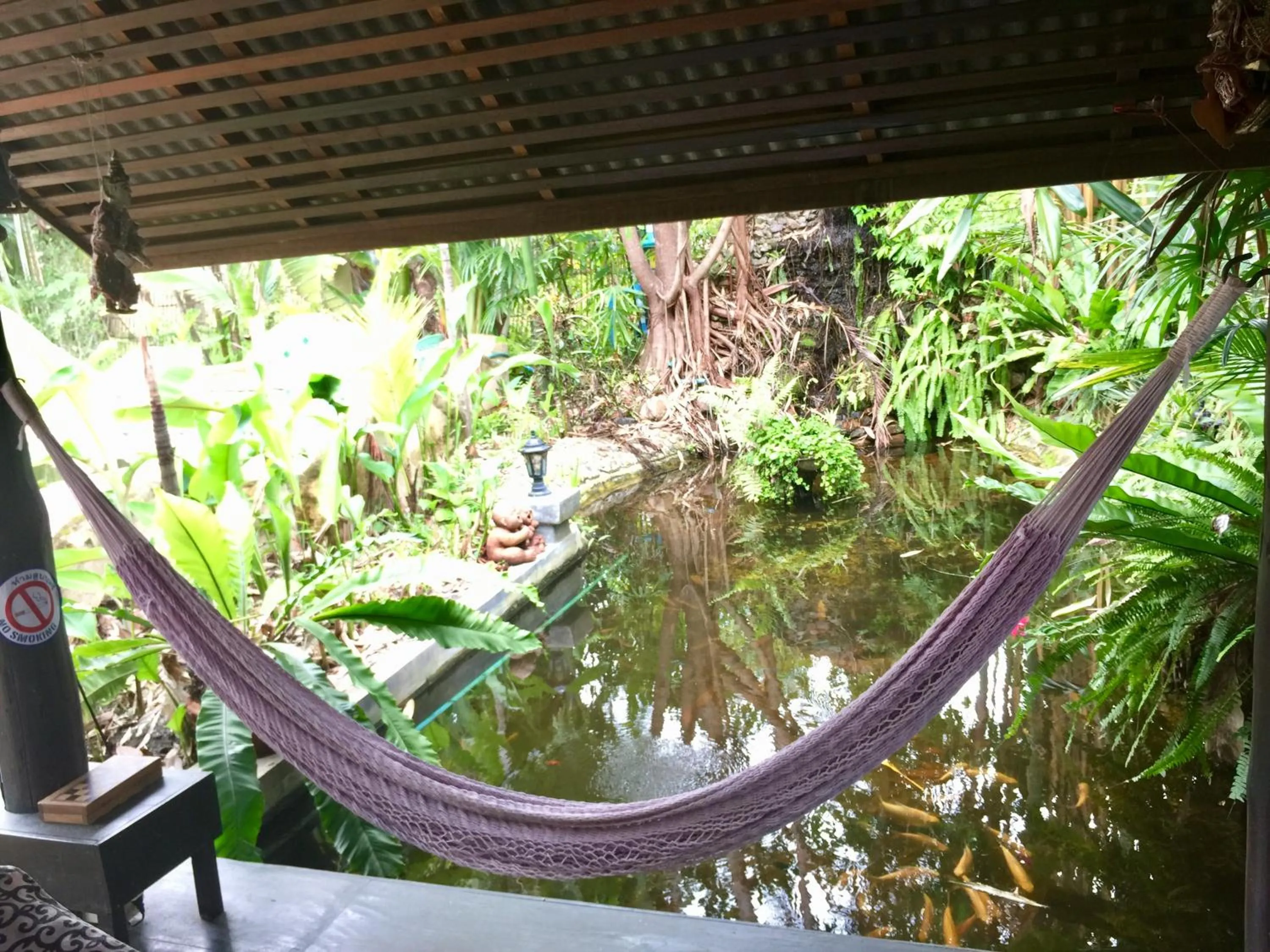 Garden in Bueng Pai Farm บึงปายฟาร์ม