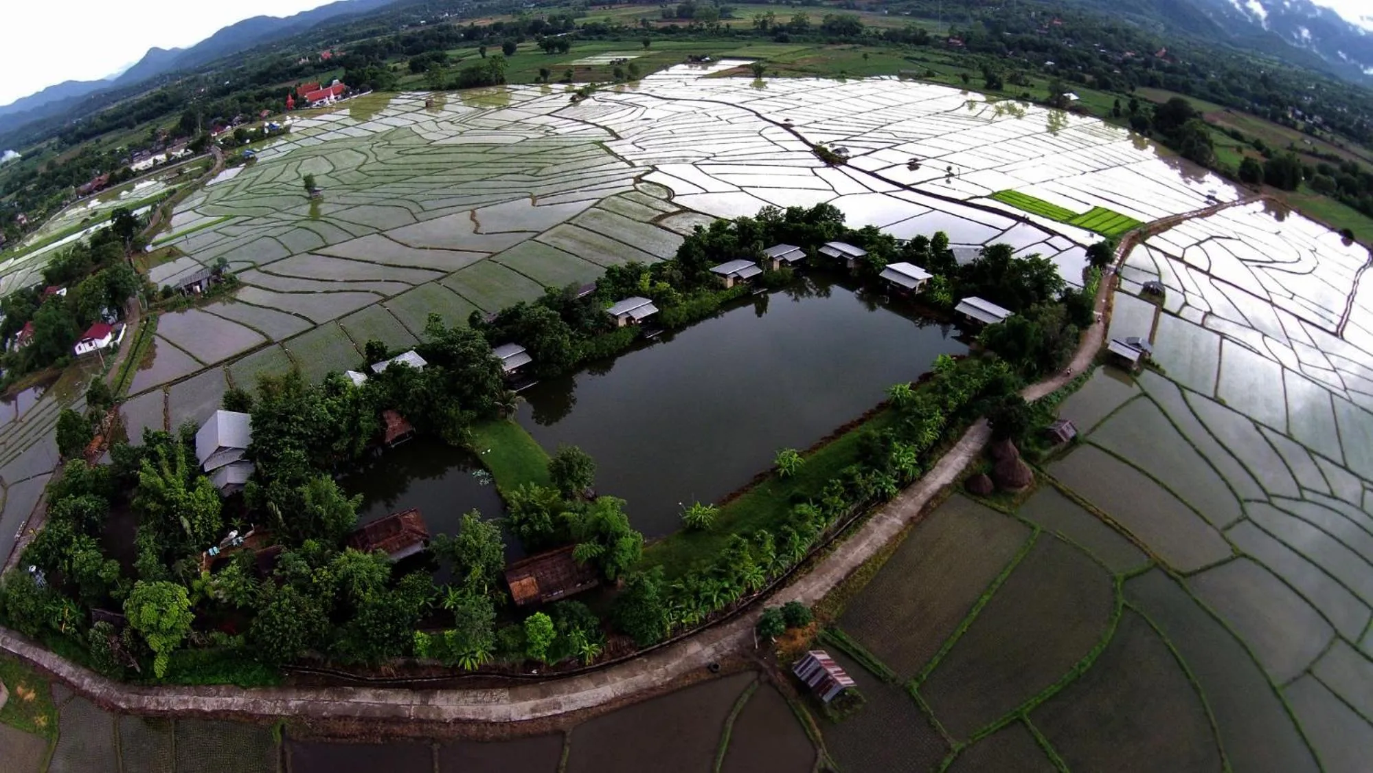 Bird's eye view in Bueng Pai Farm บึงปายฟาร์ม