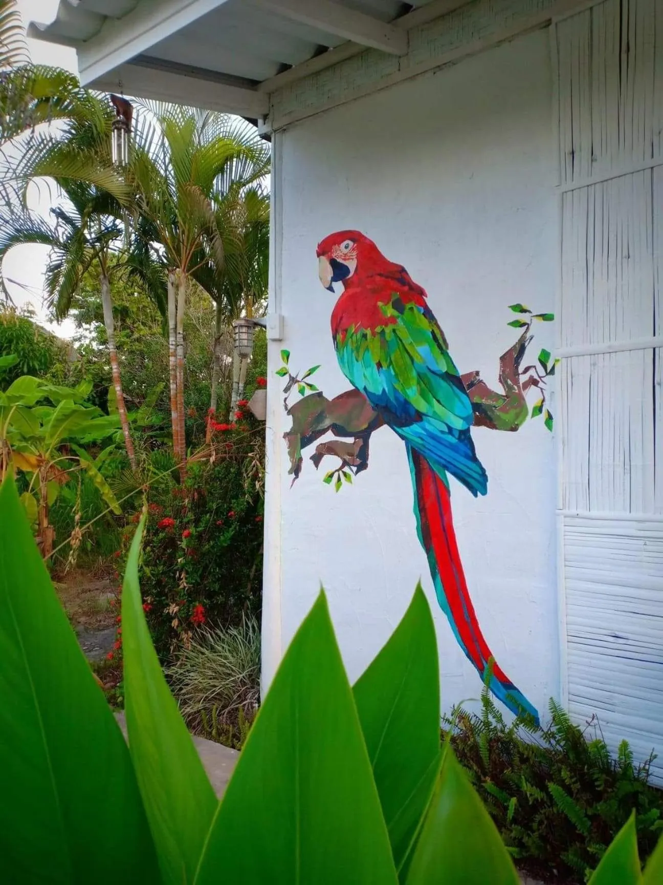 Bueng Pai Farm บึงปายฟาร์ม