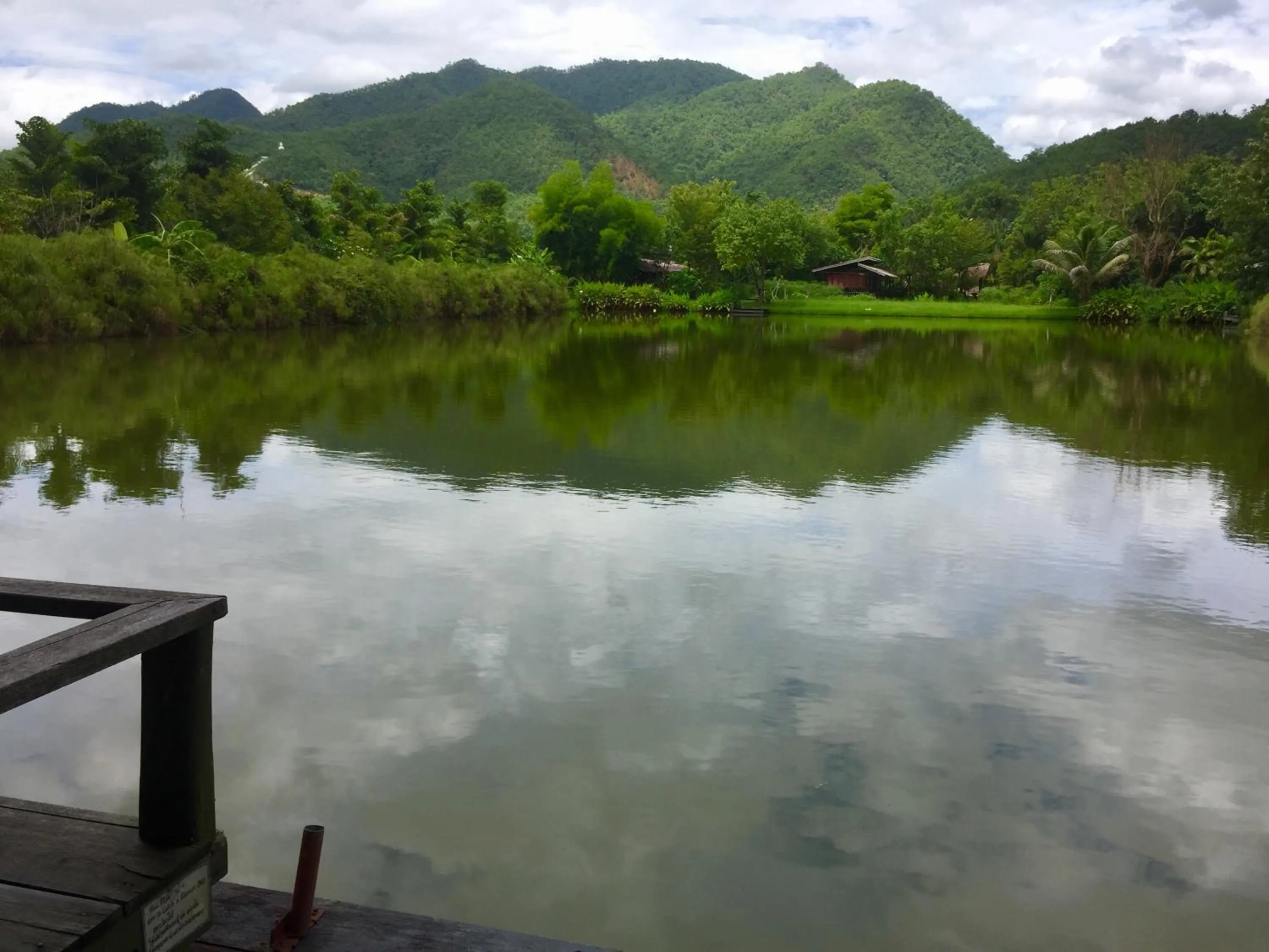 Garden in Bueng Pai Farm บึงปายฟาร์ม