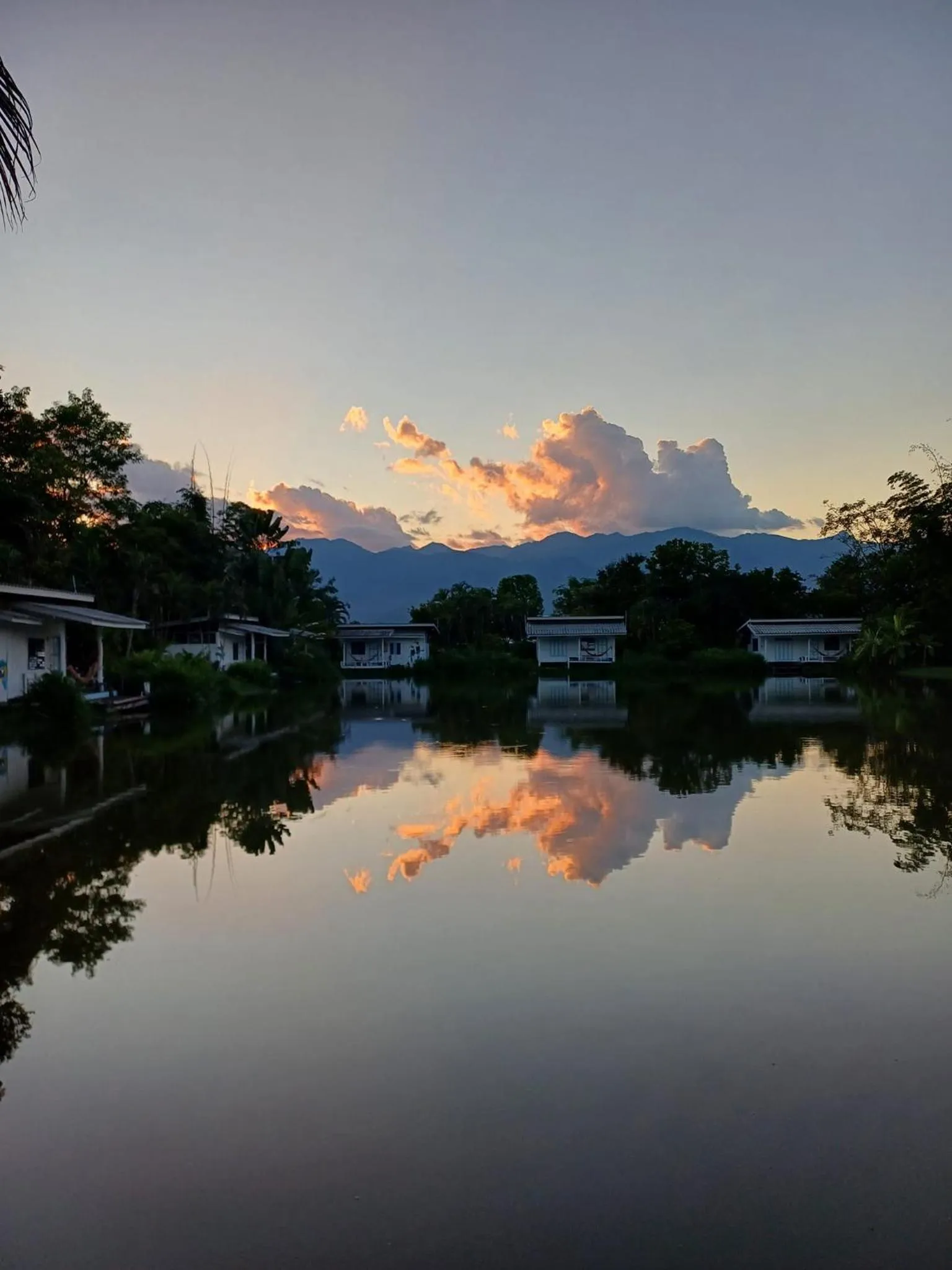 Bueng Pai Farm บึงปายฟาร์ม