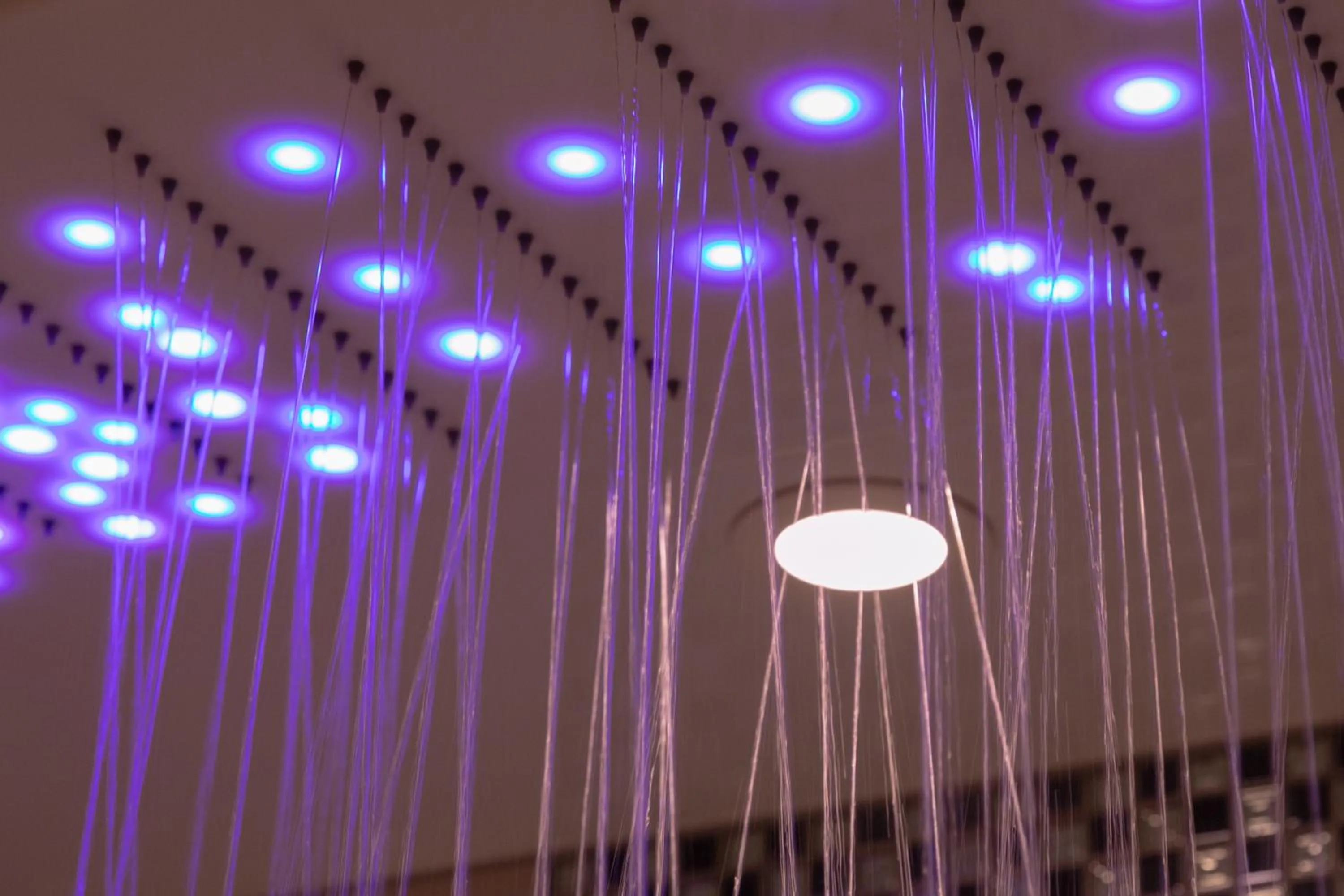 Hotel Eldia Yamanashi (Adult Only)