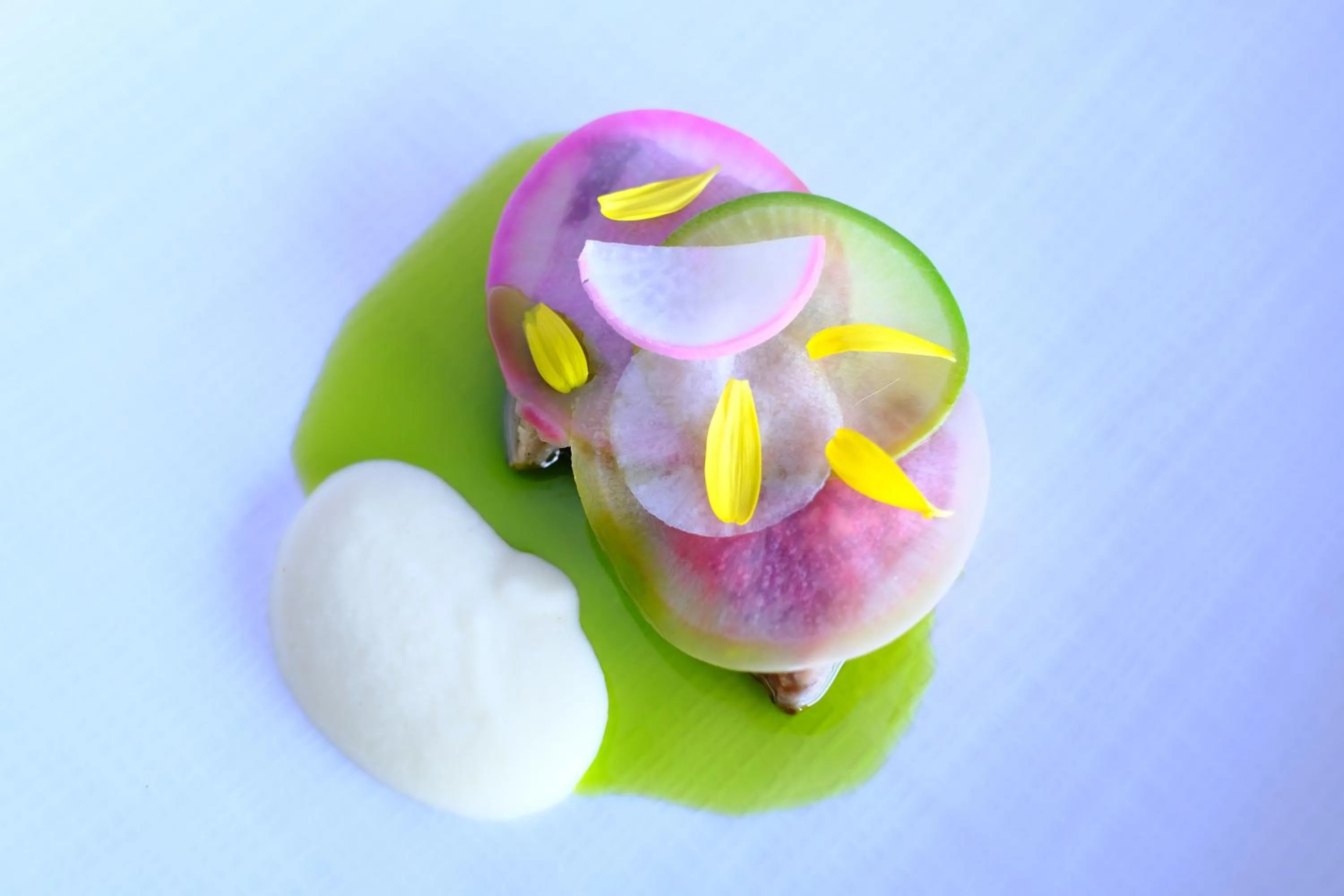 Meals in Sankara Hotel & Spa Yakushima