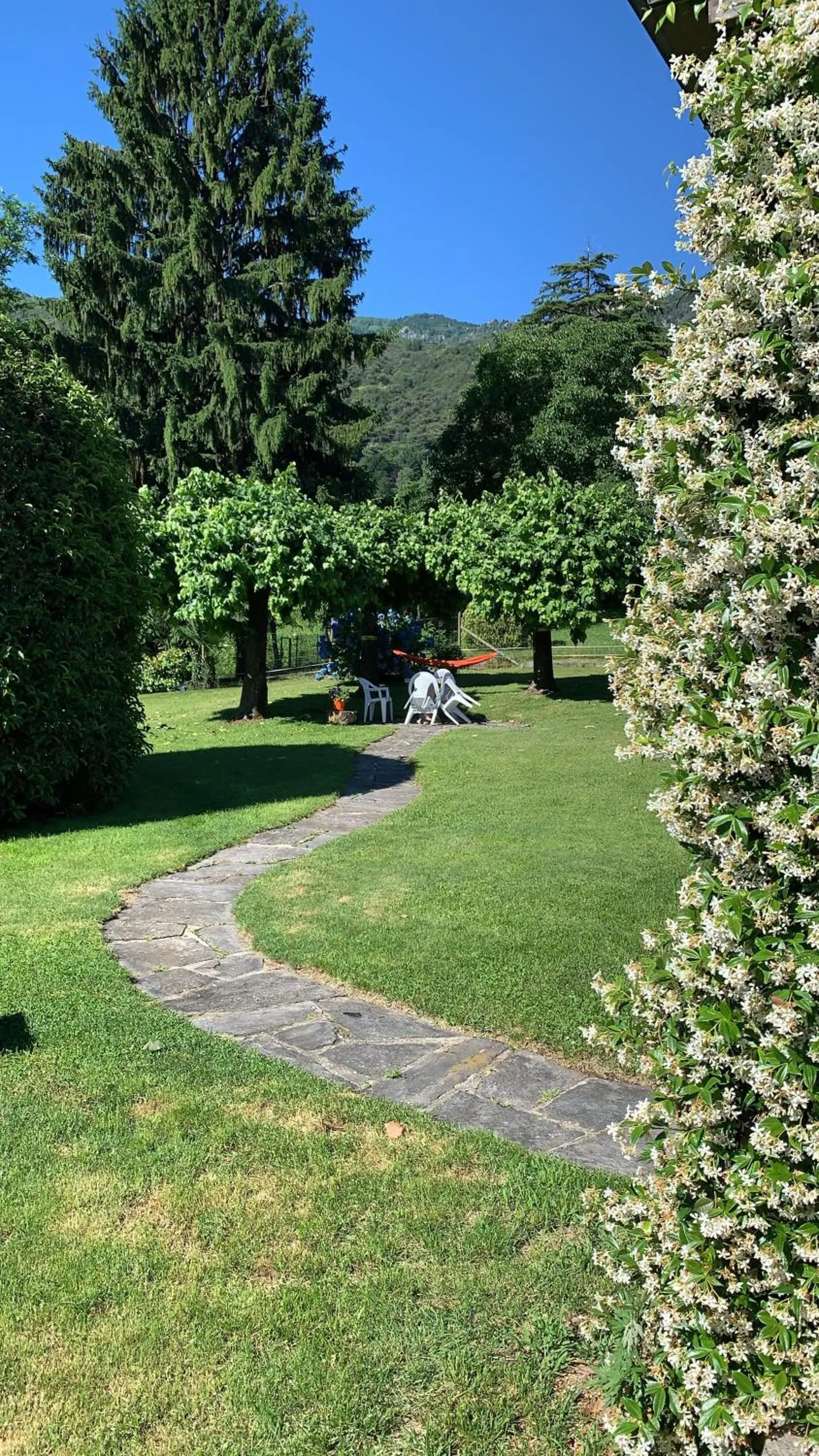 Garden in B&B Il tempo del sogno con cani e gatti Pet&Breakfast