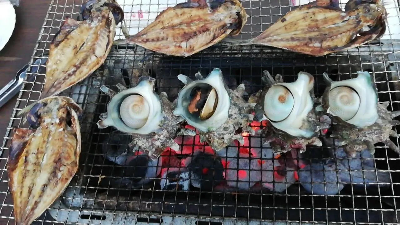 BBQ facilities in Pension Izukogen