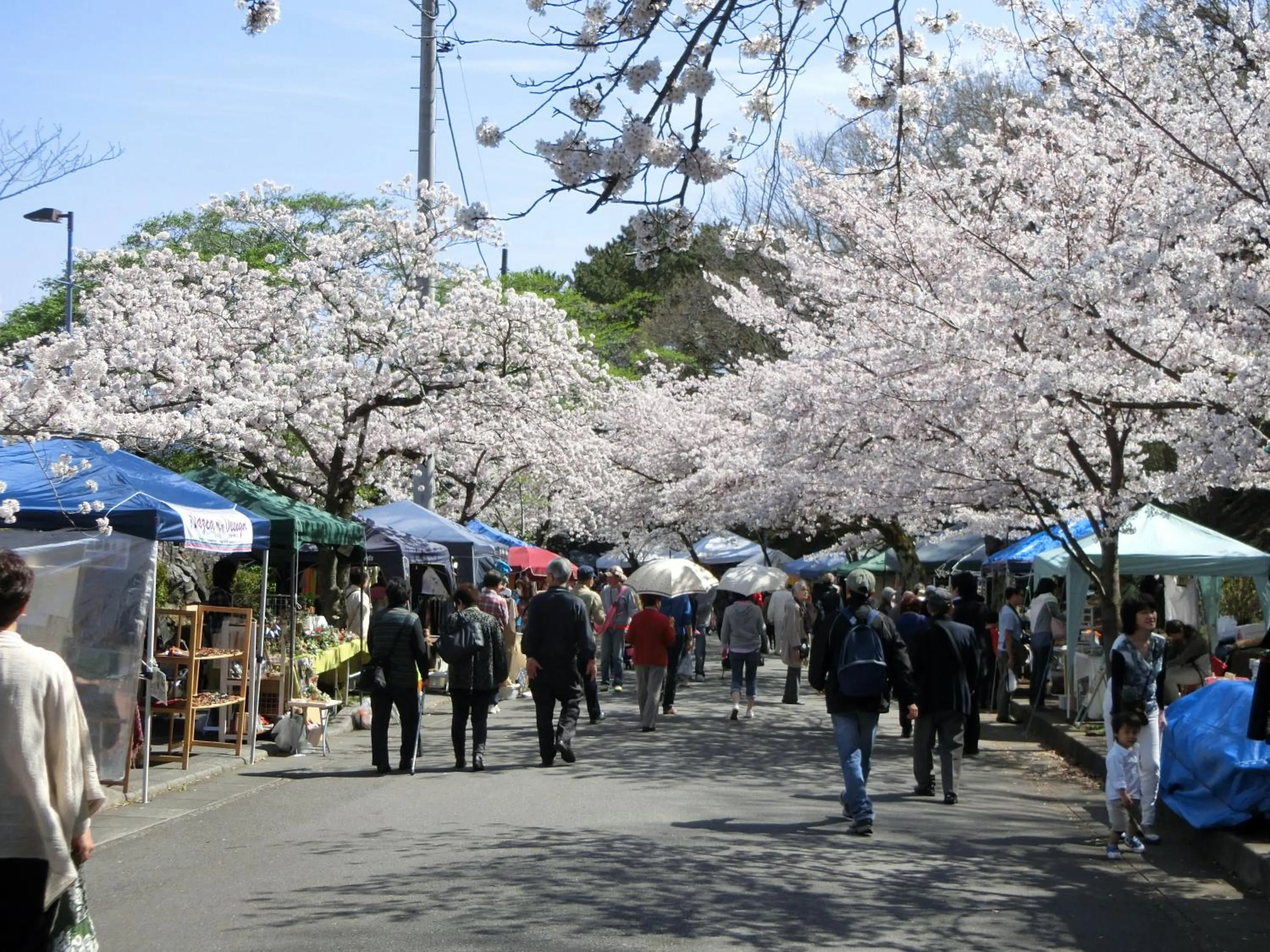 Spring in Pension Izukogen