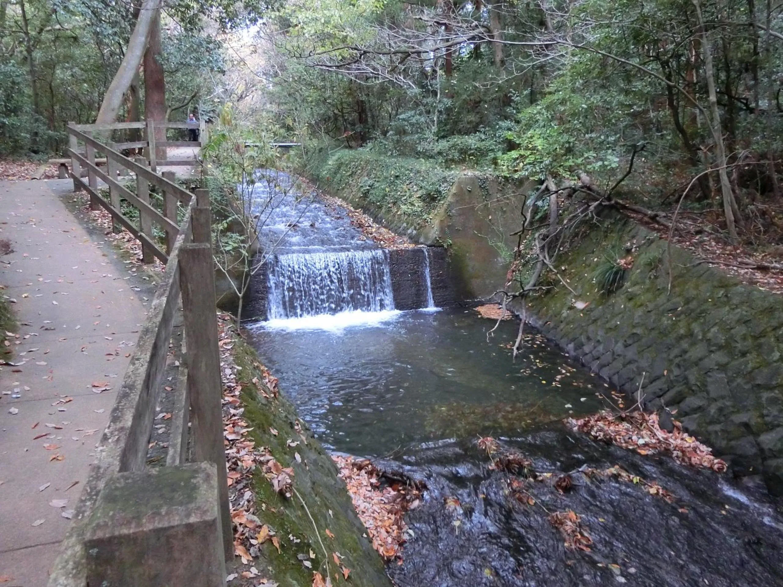 Off site in Pension Izukogen