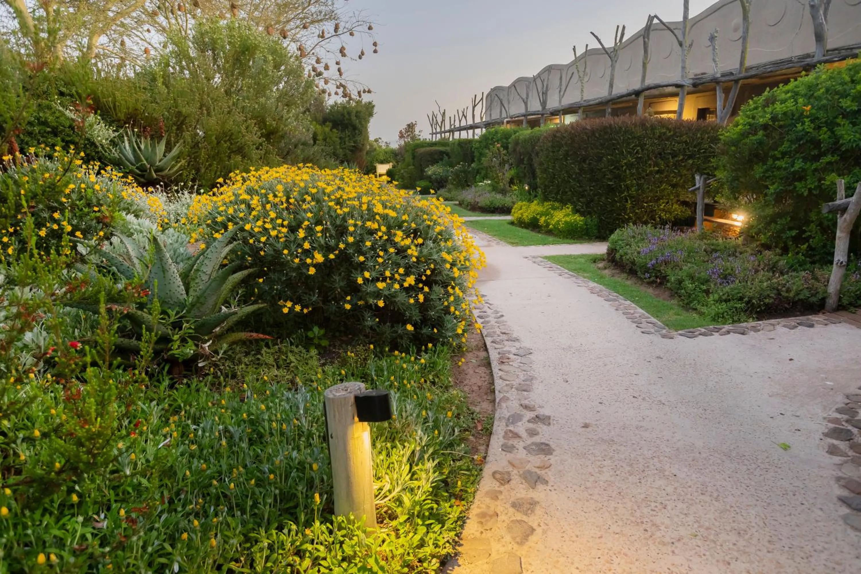 Garden in Garden Route Game Lodge