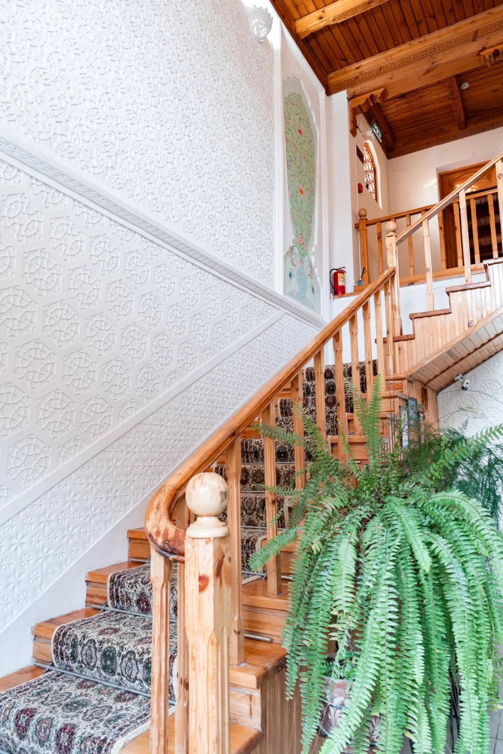 Area and facilities in Hotel Caravan Serail