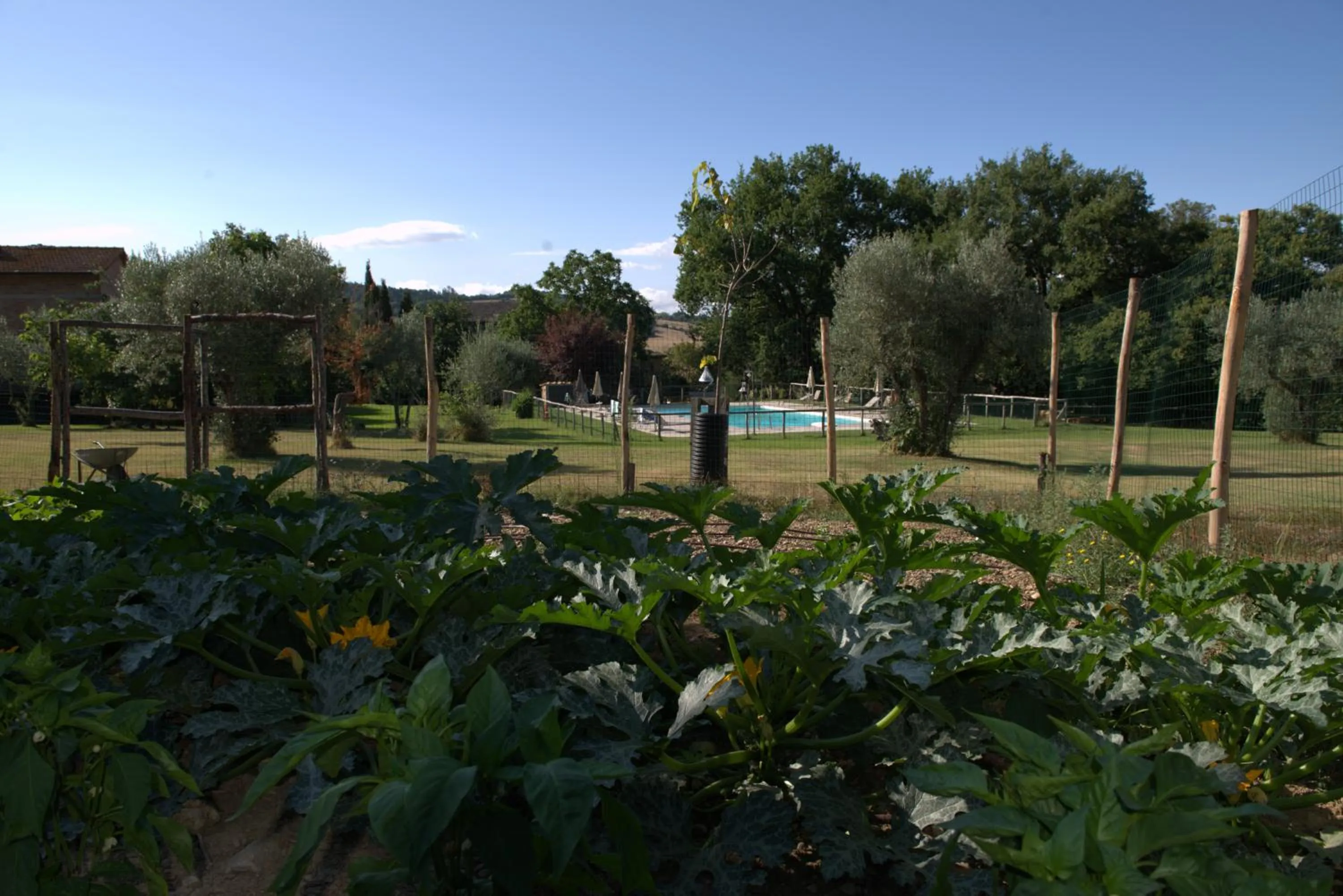 Garden in Hotel Giogliano