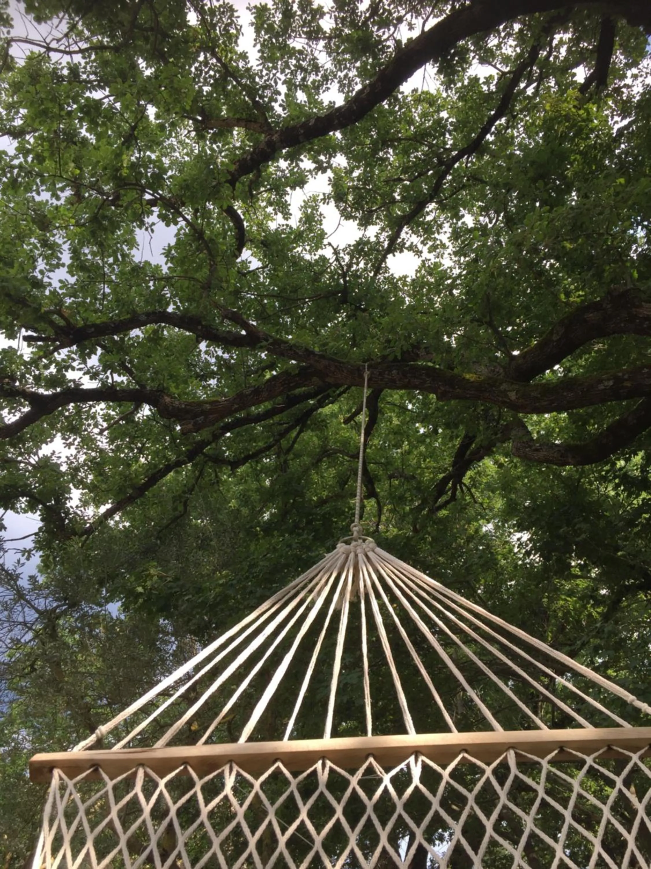 Natural landscape in Hotel Giogliano