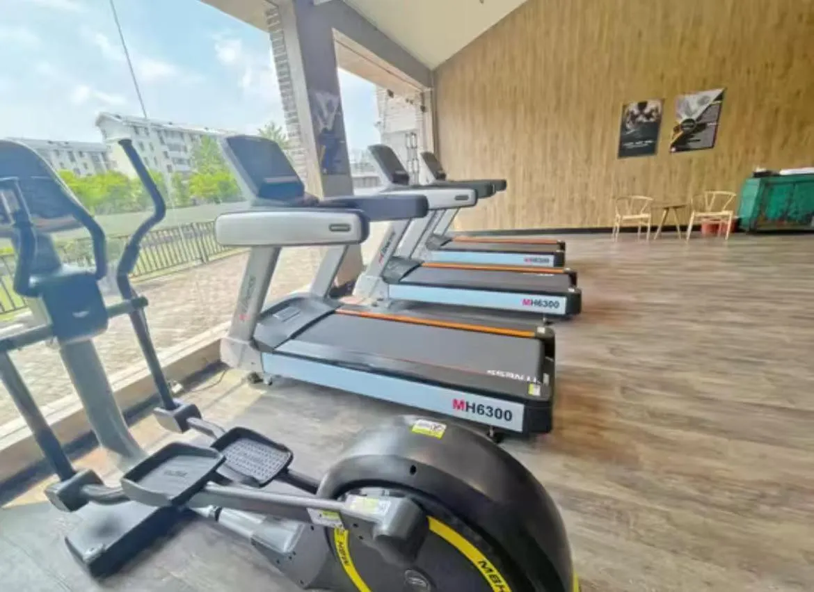 Lin Ting Holiday Hotel Pudong Airport