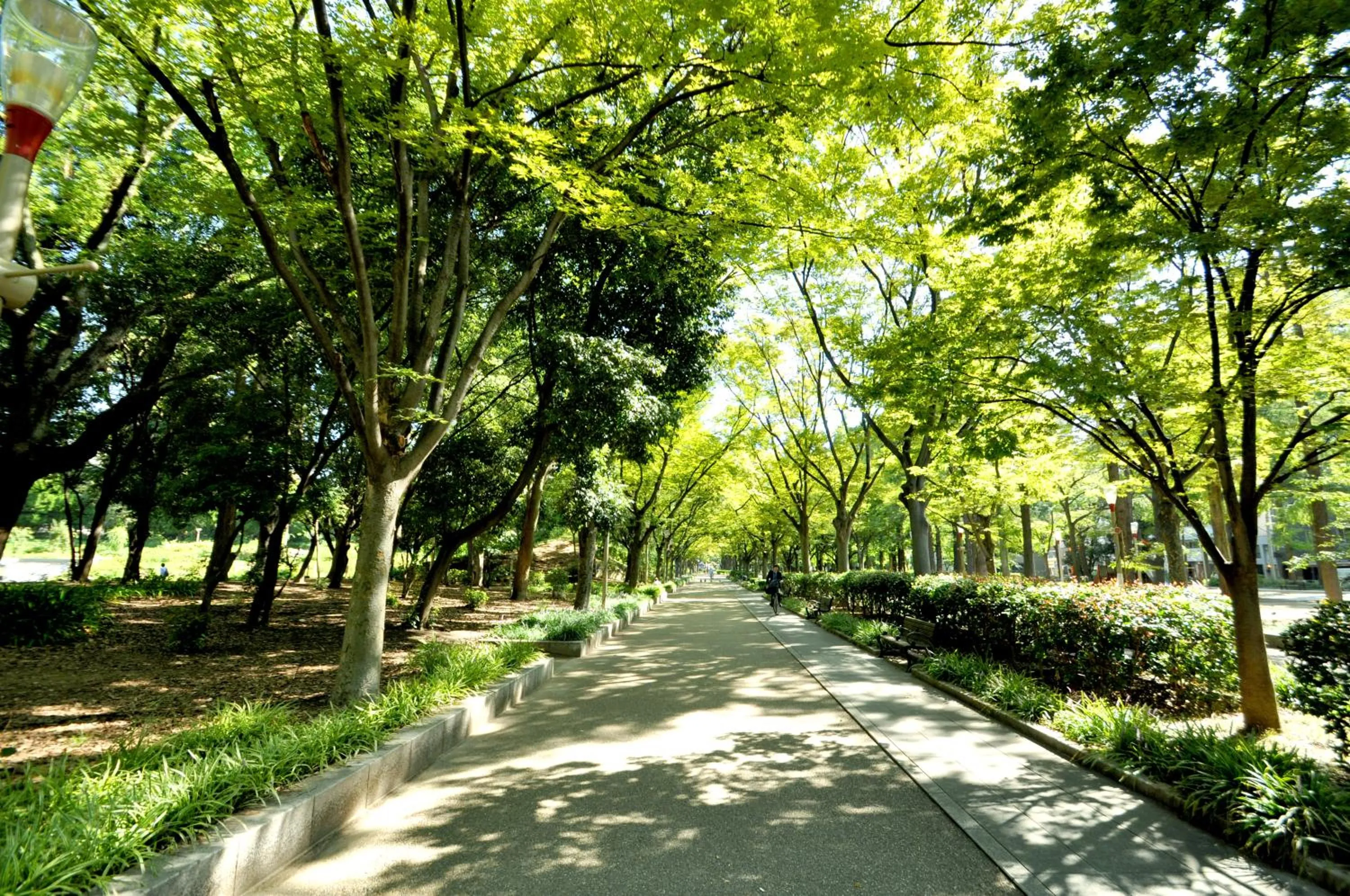 Off site in Cityroute Hotel