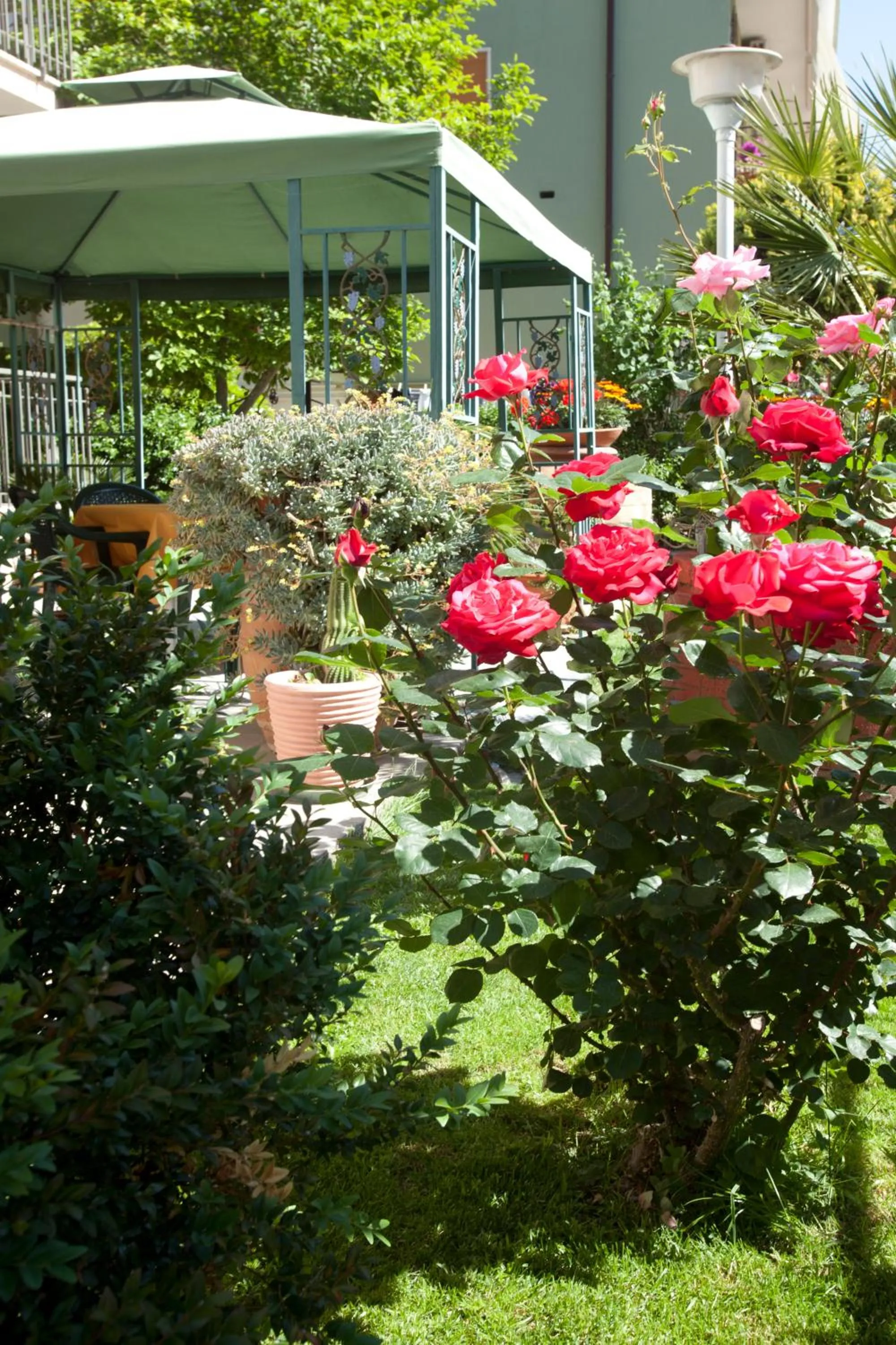 Garden in Hotel Corallo