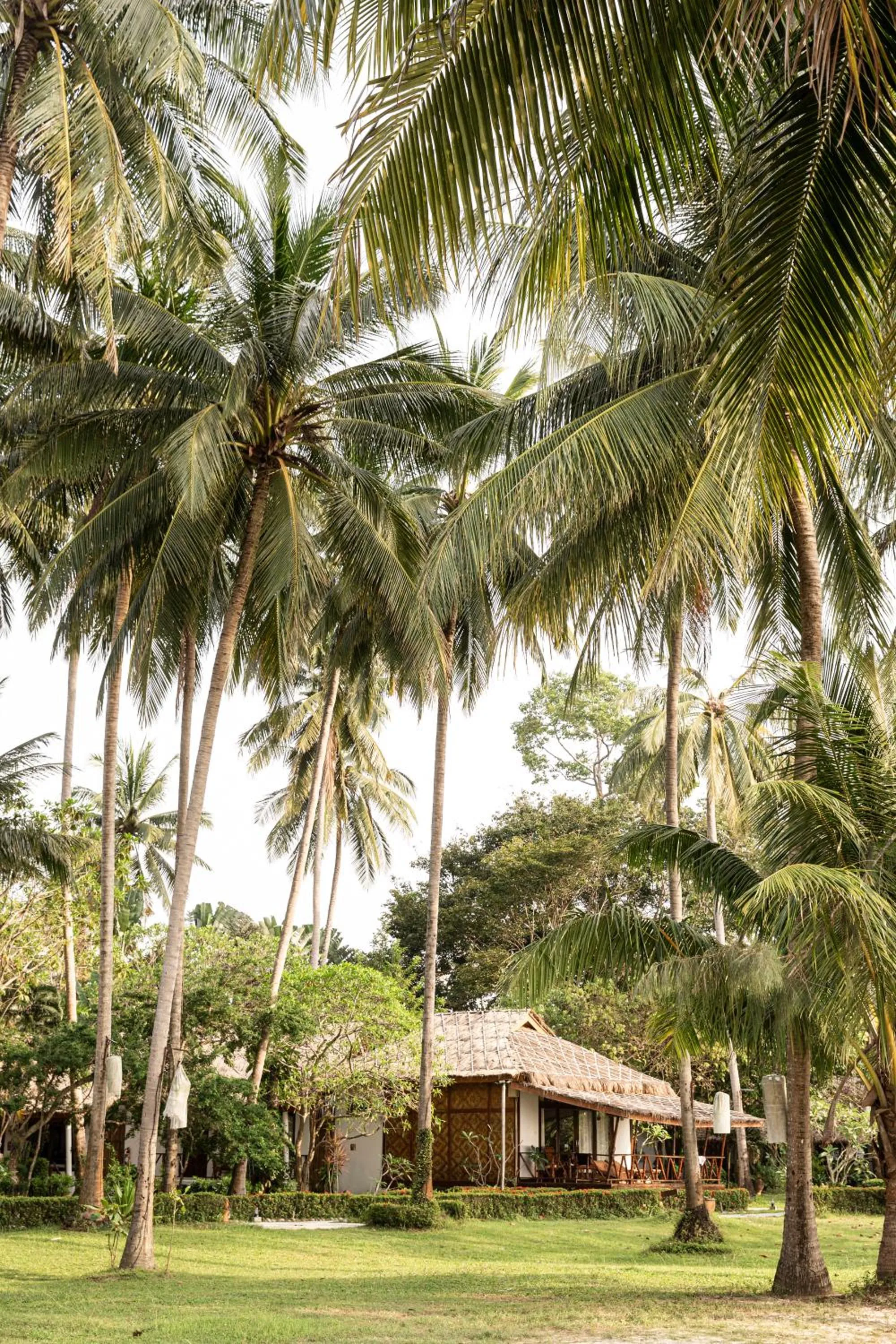 Garden in Lipa Lodge Beach Resort