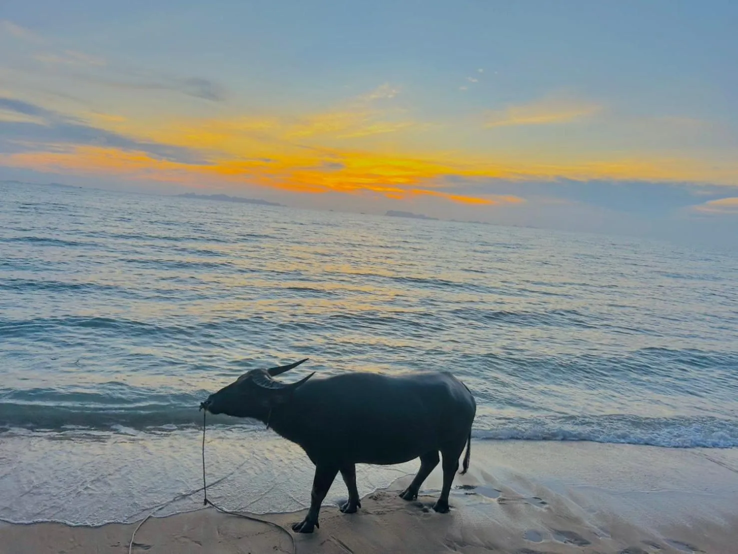 Lipa Lodge Beach Resort