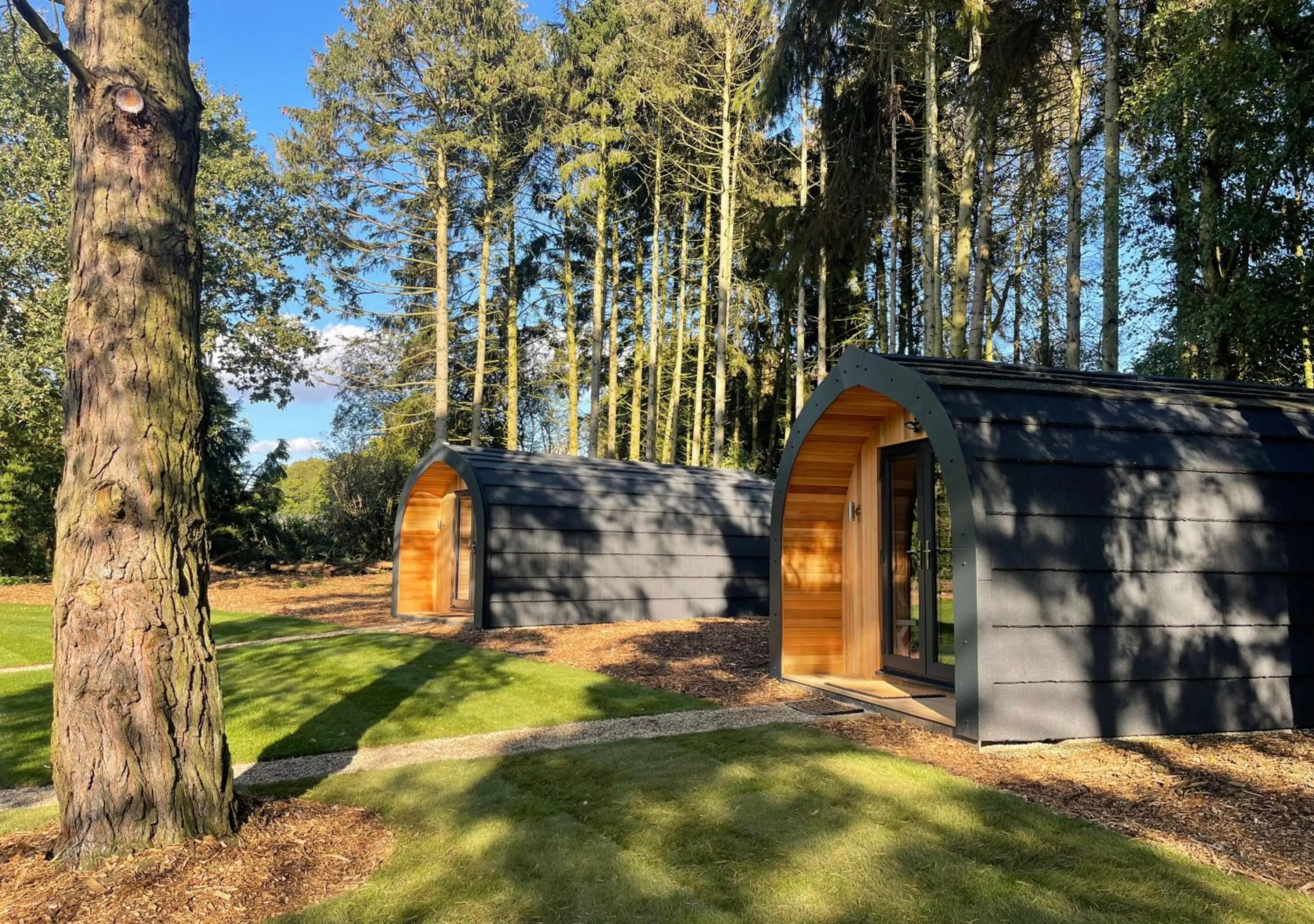 Natural landscape in Great Hallingbury Manor & Lodges London Stansted