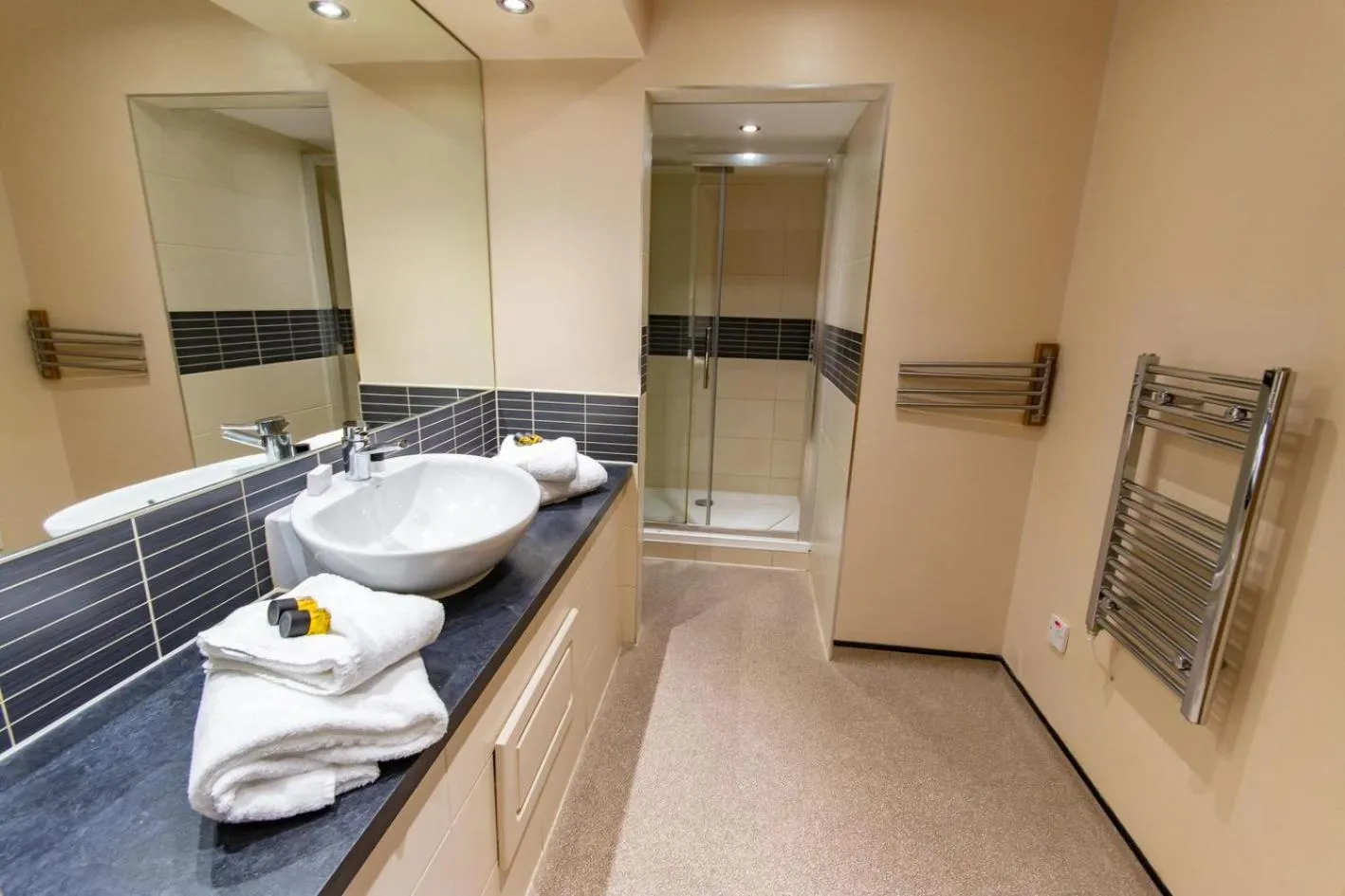 Bathroom in Great Hallingbury Manor & Lodges London Stansted