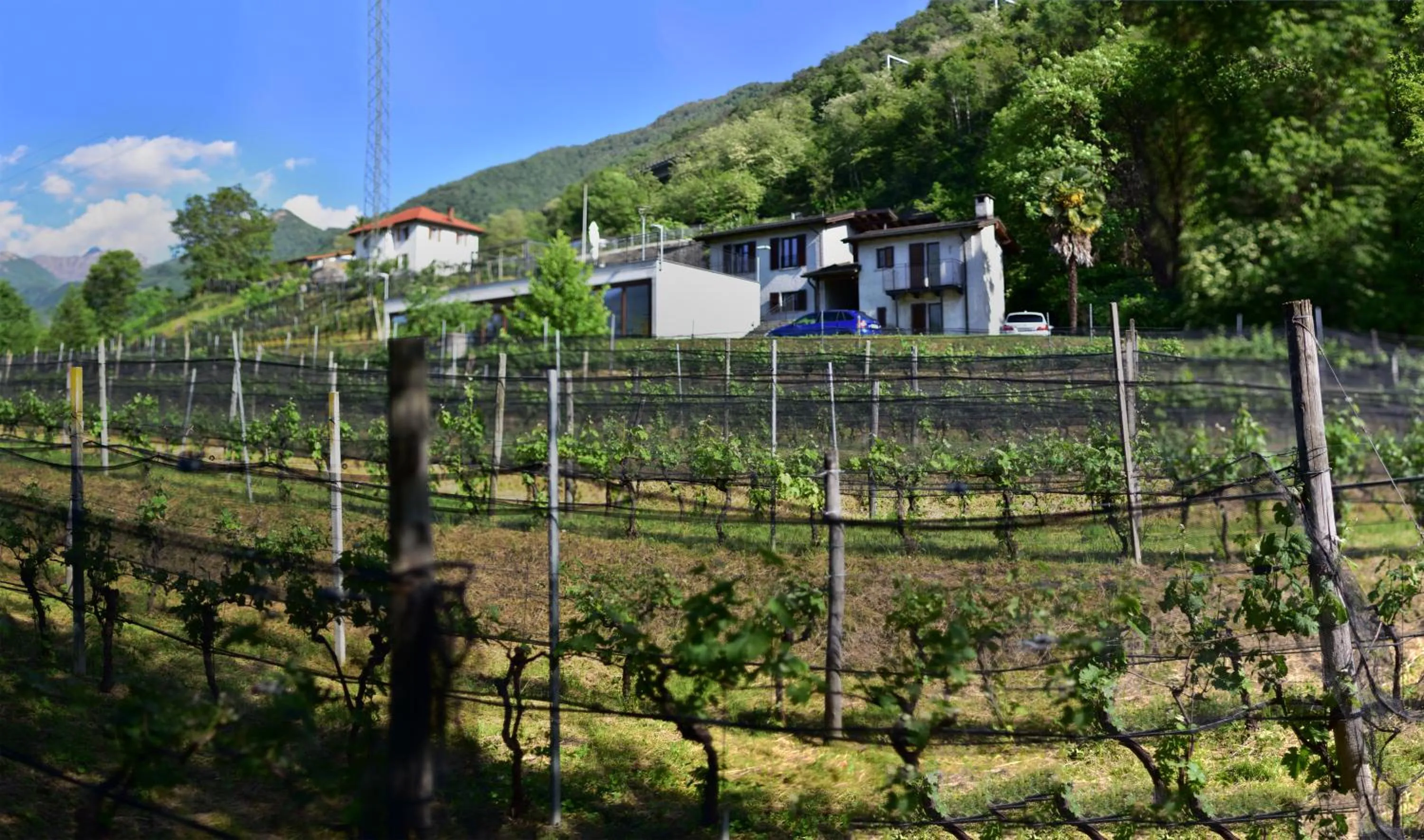 Property building in Viva Bacco