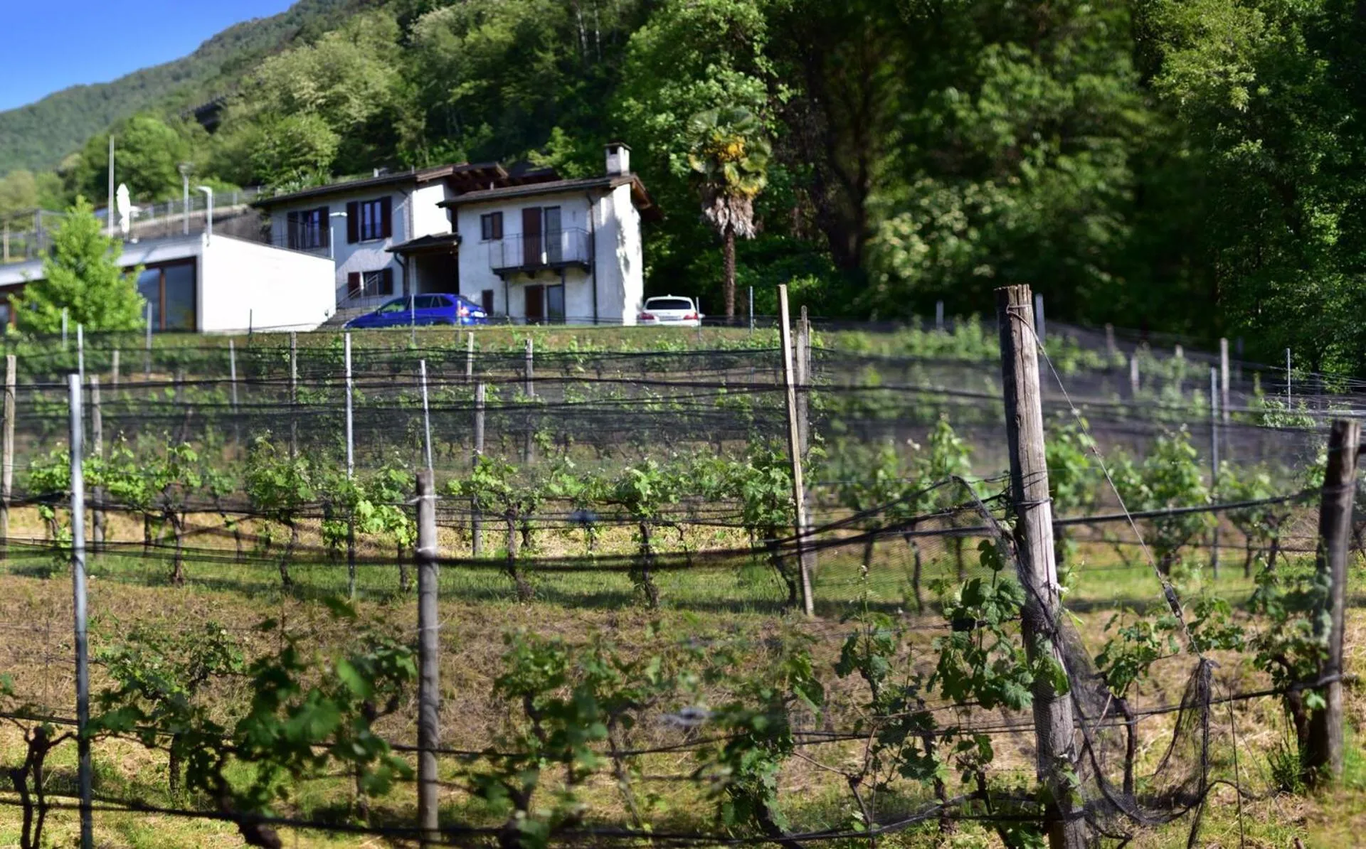 Property building in Viva Bacco