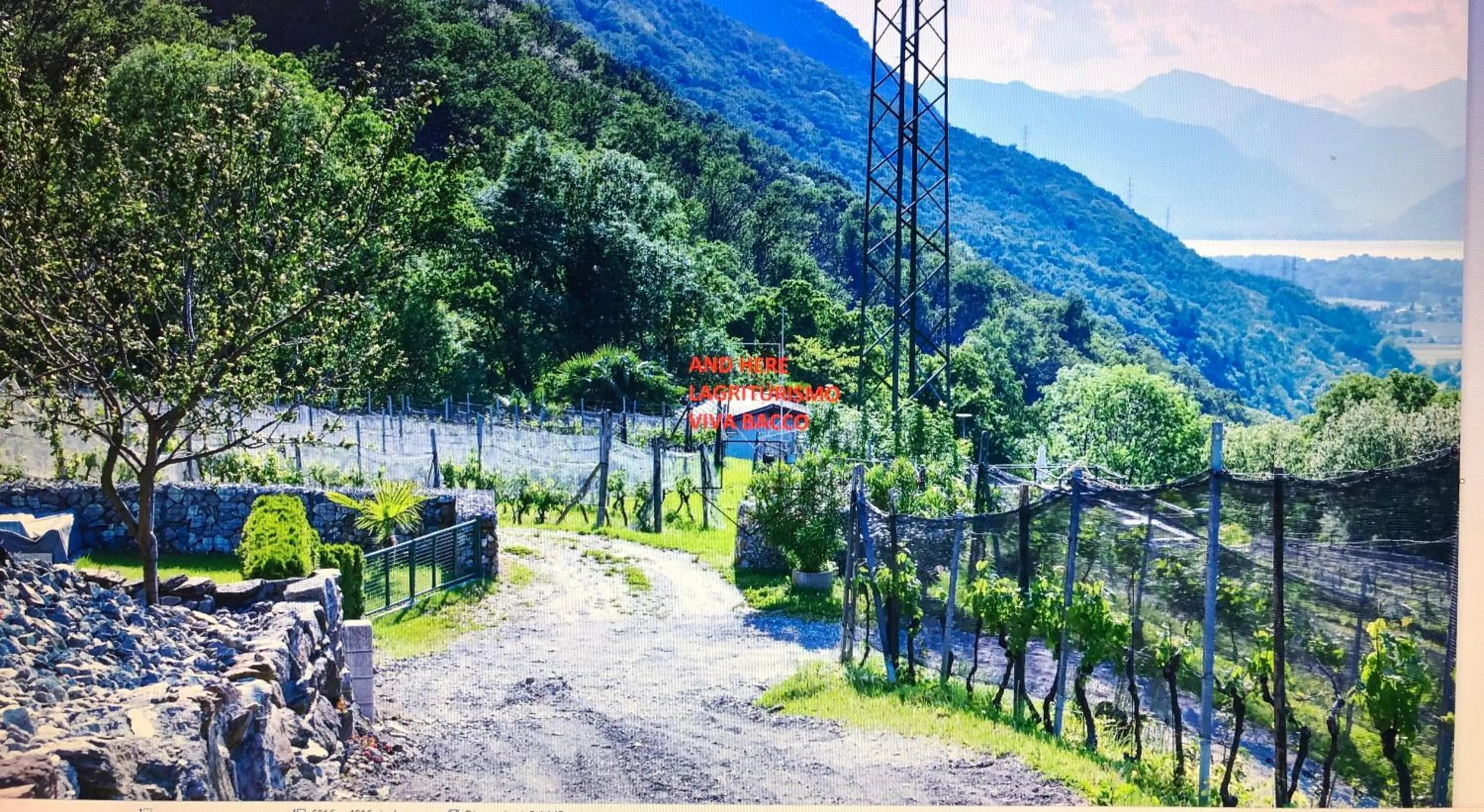 Natural landscape in Viva Bacco