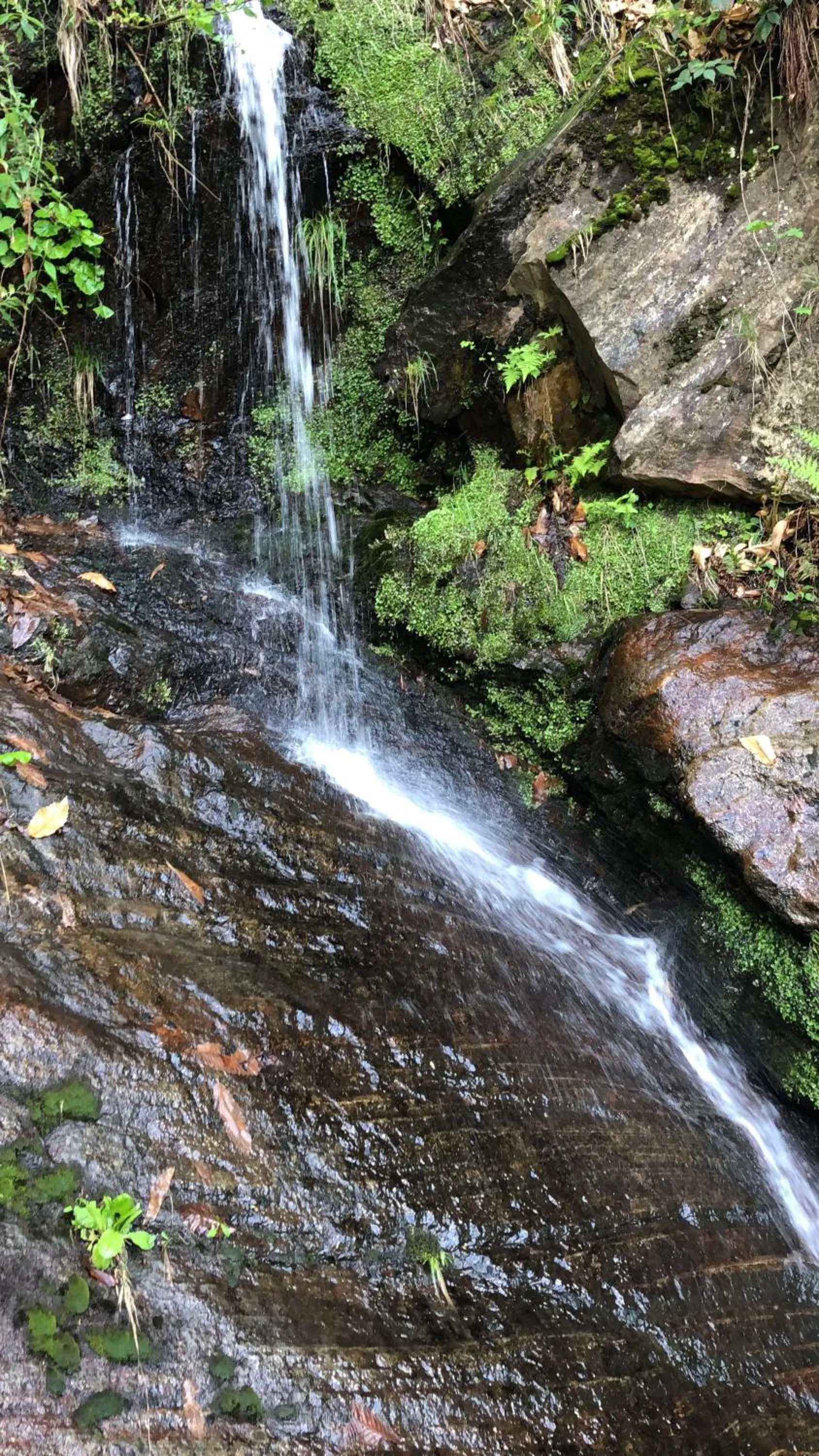 Natural landscape in Viva Bacco