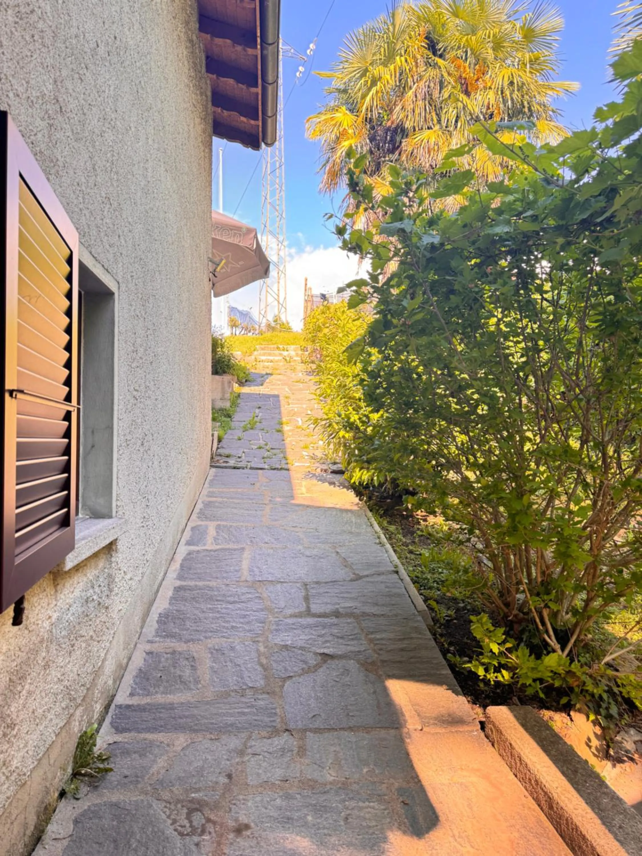 Property building in Viva Bacco