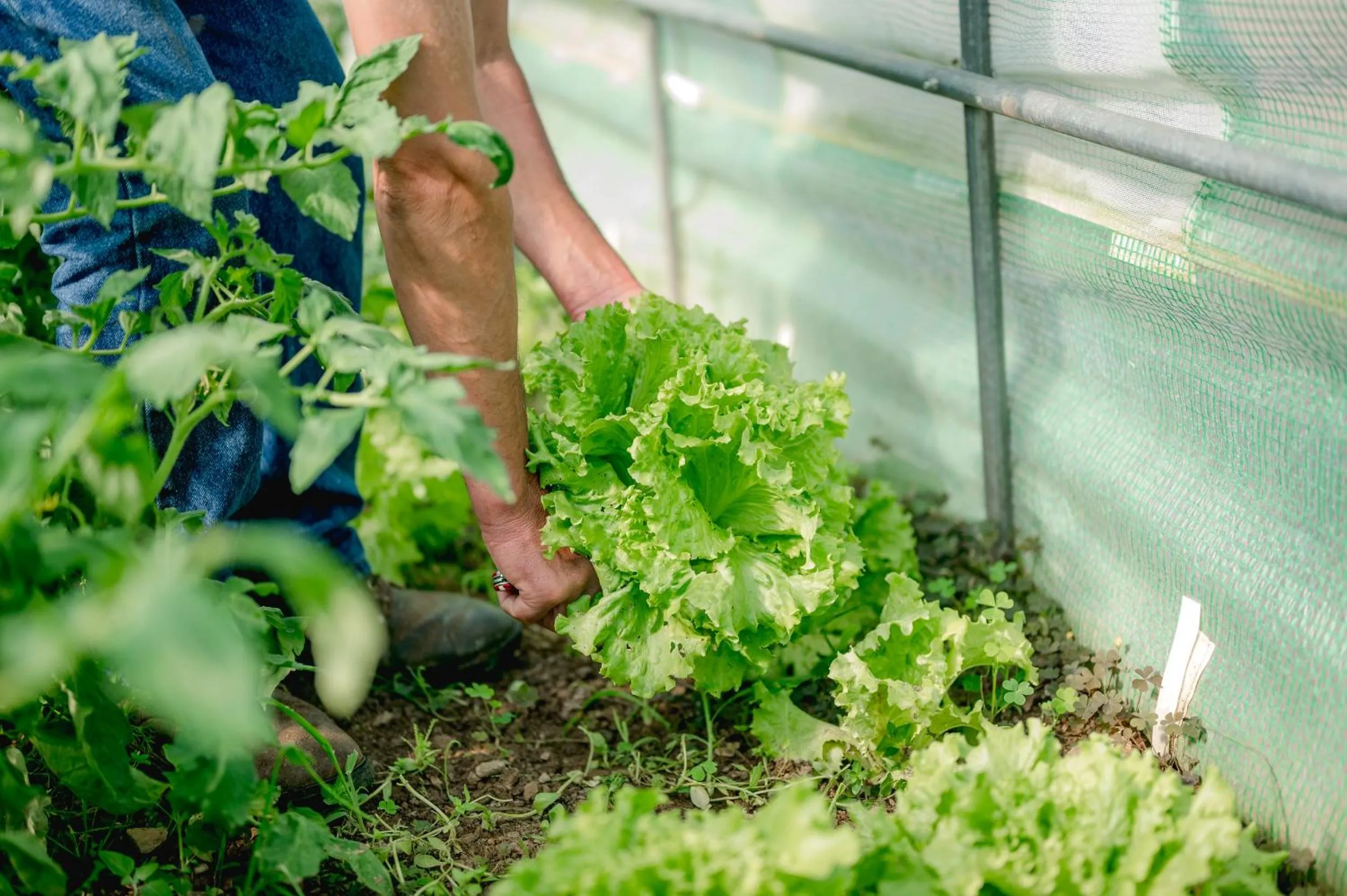 Monte Gois Country House e Spa