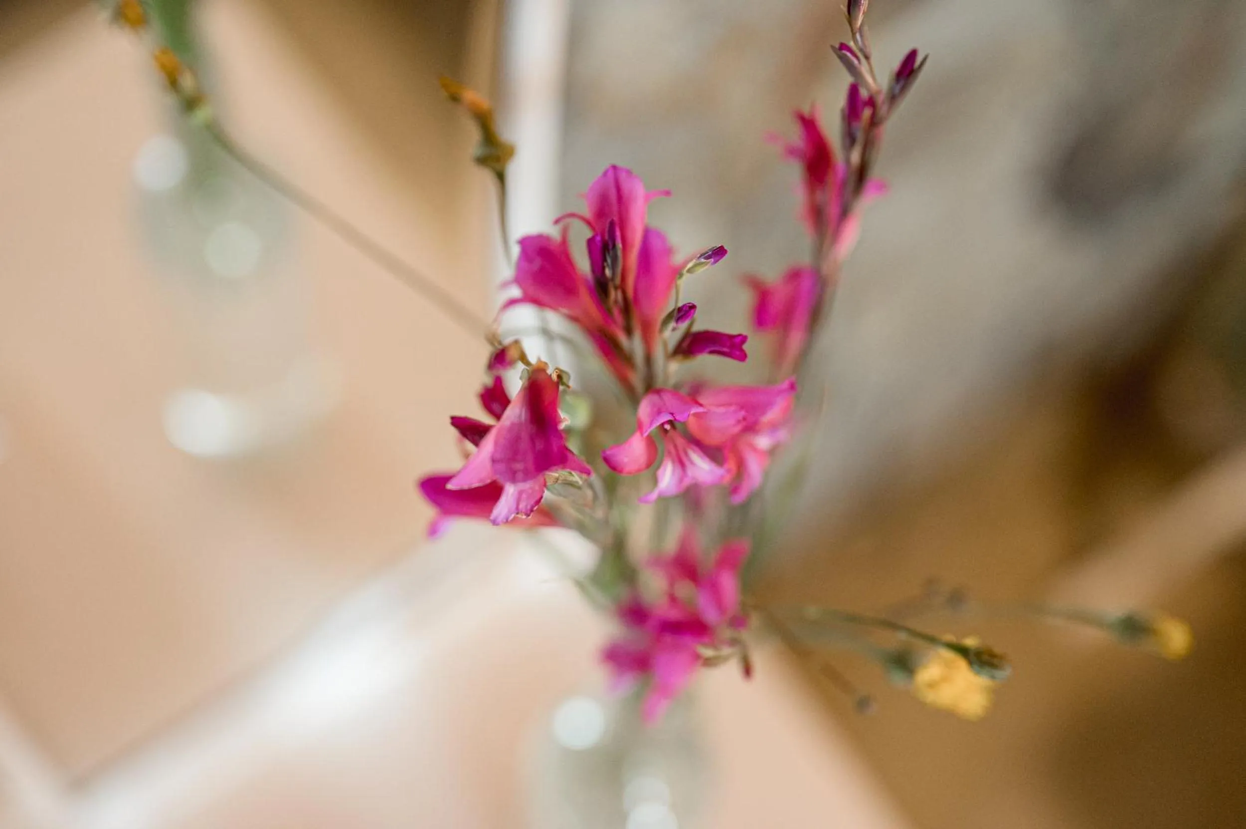 Monte Gois Country House e Spa