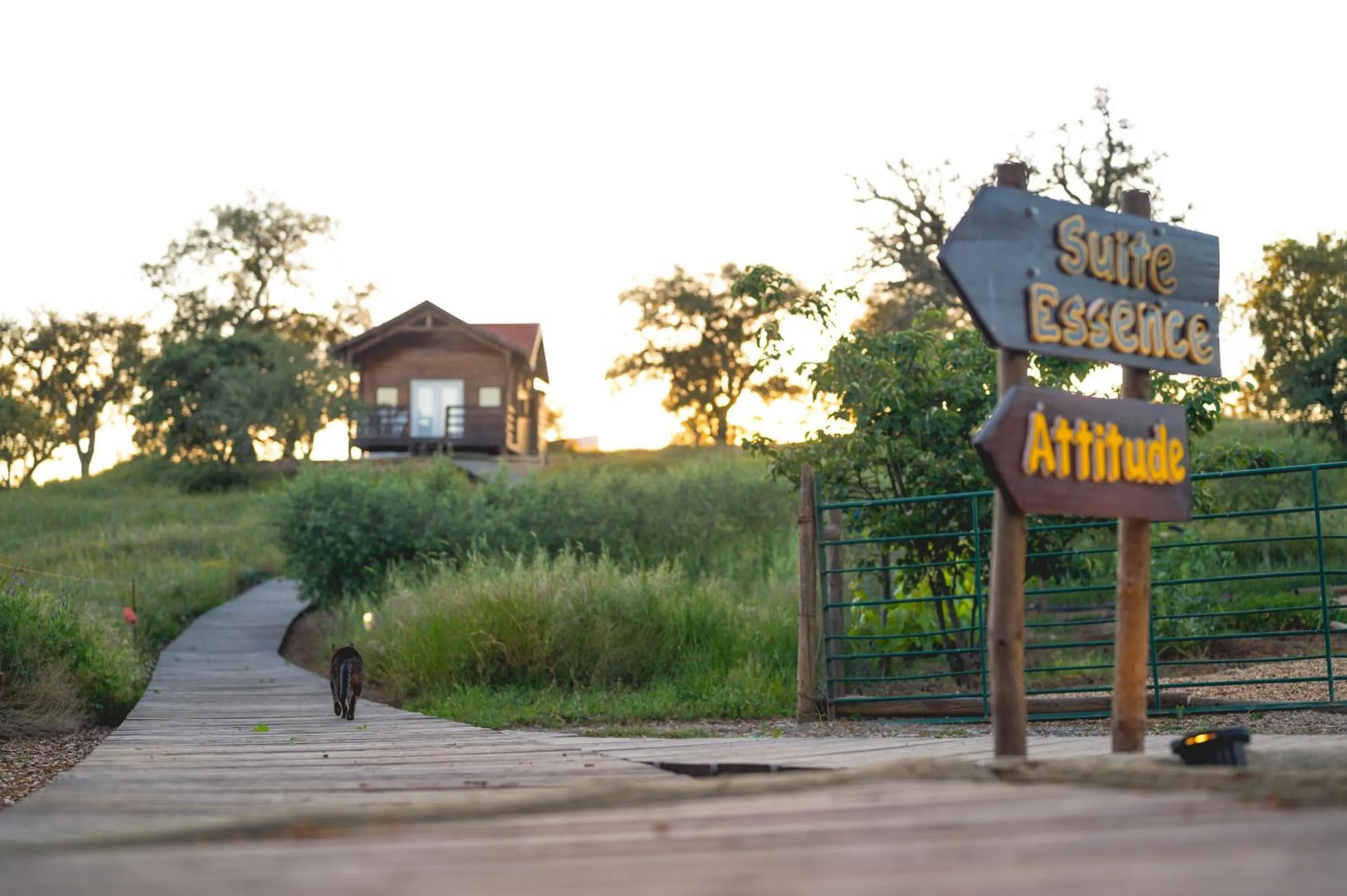 Monte Gois Country House e Spa