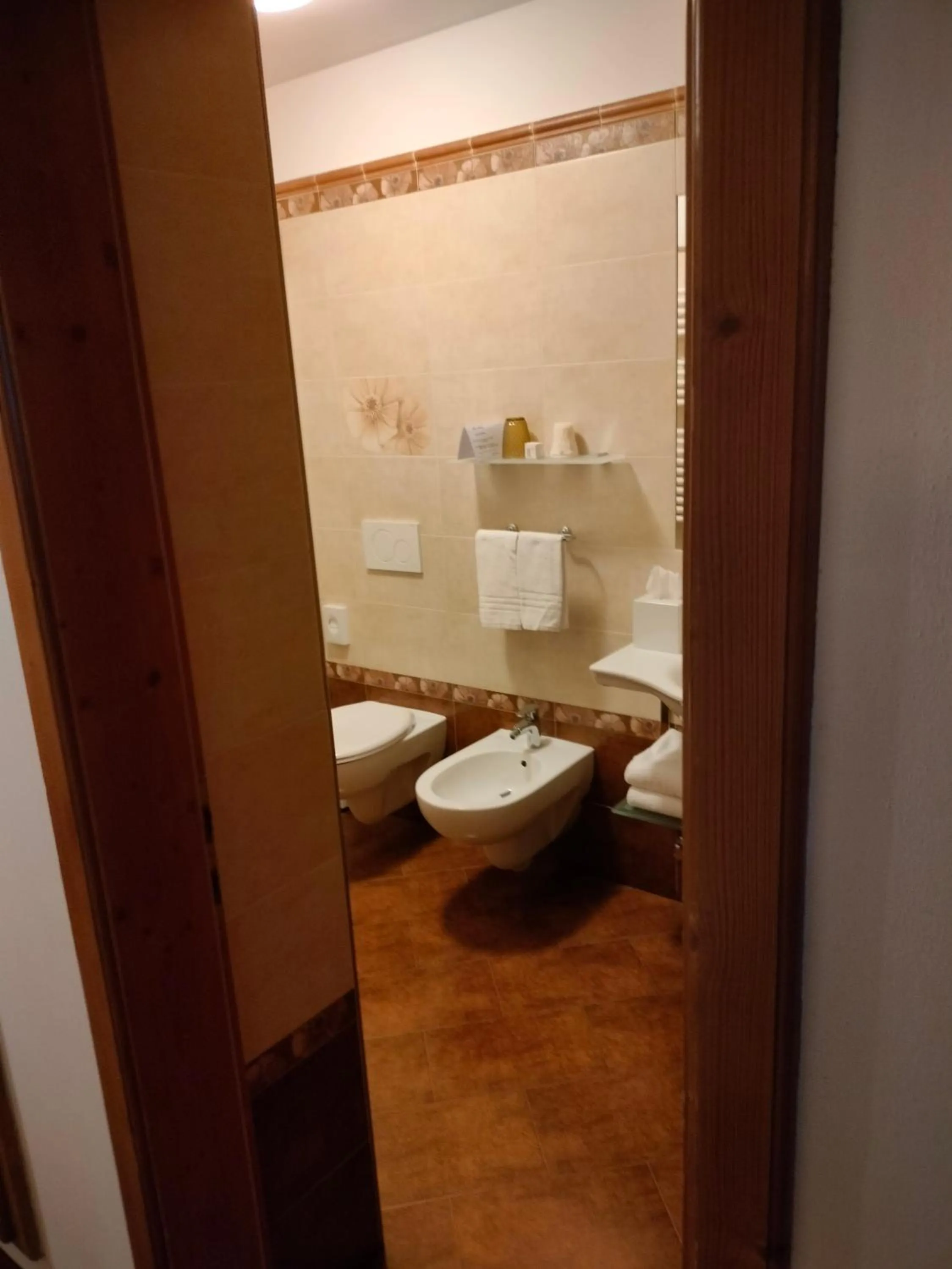Toilet in Hotel Stella Alpina