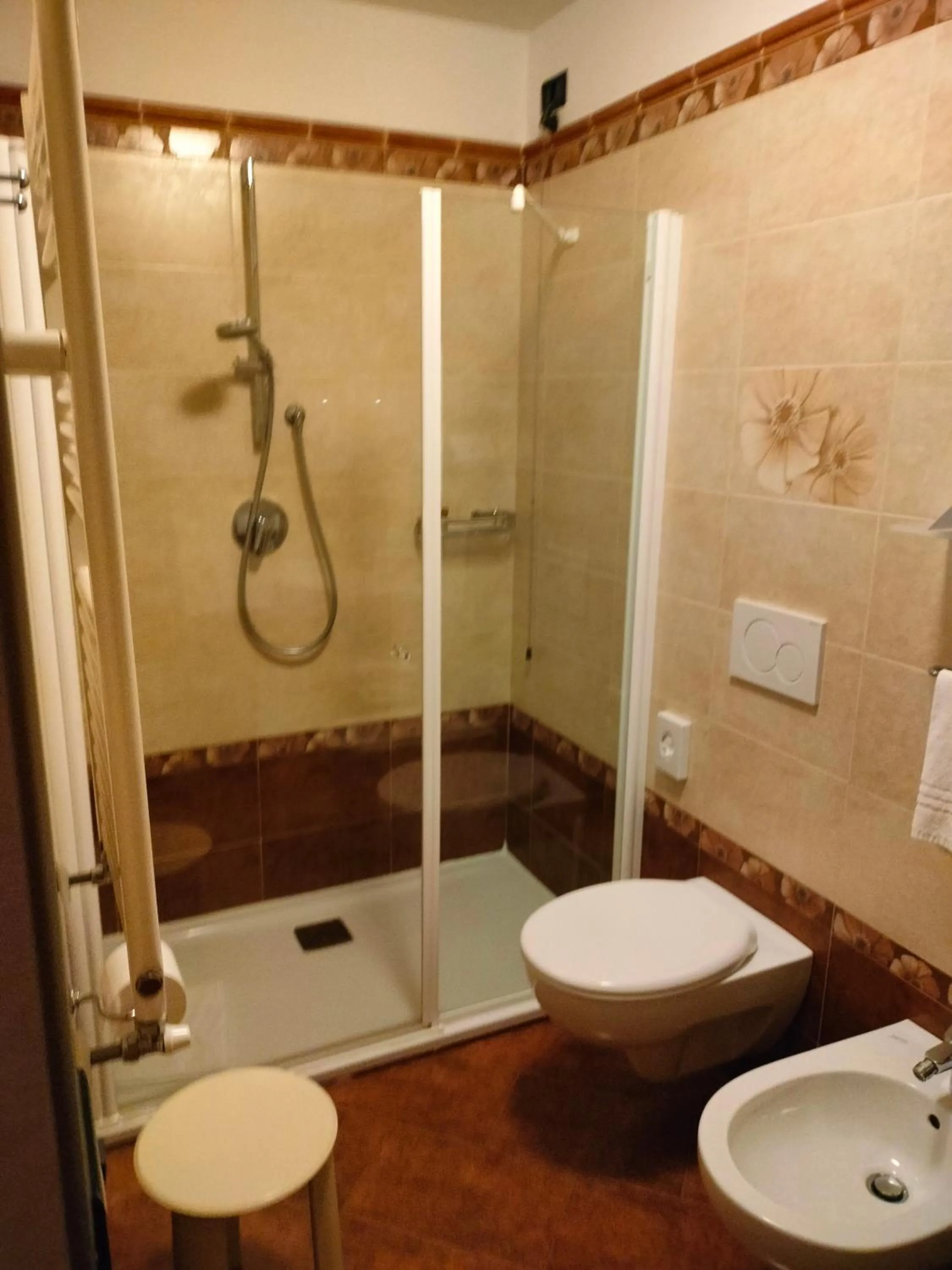 Shower in Hotel Stella Alpina