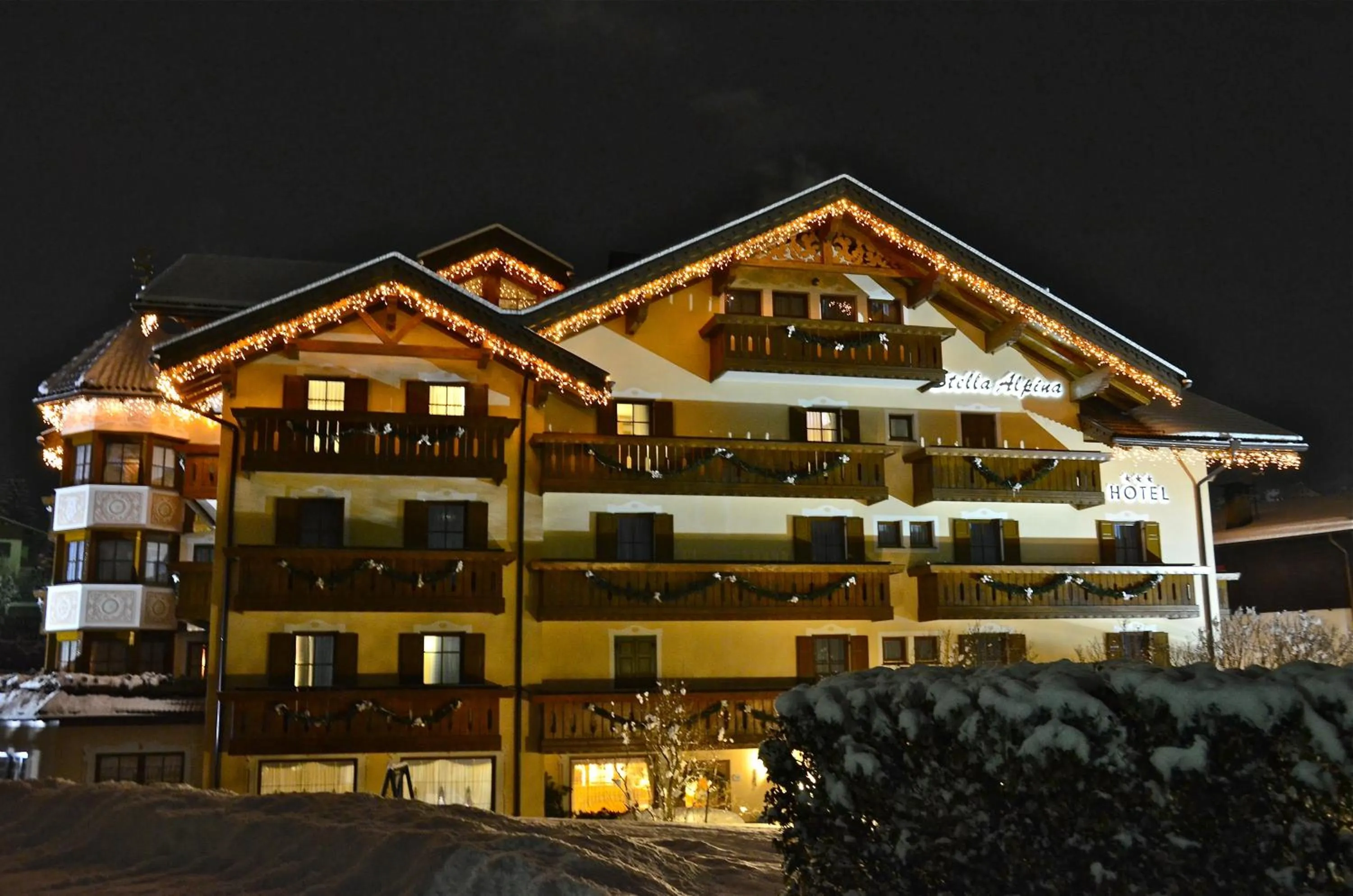 Facade/entrance in Hotel Stella Alpina