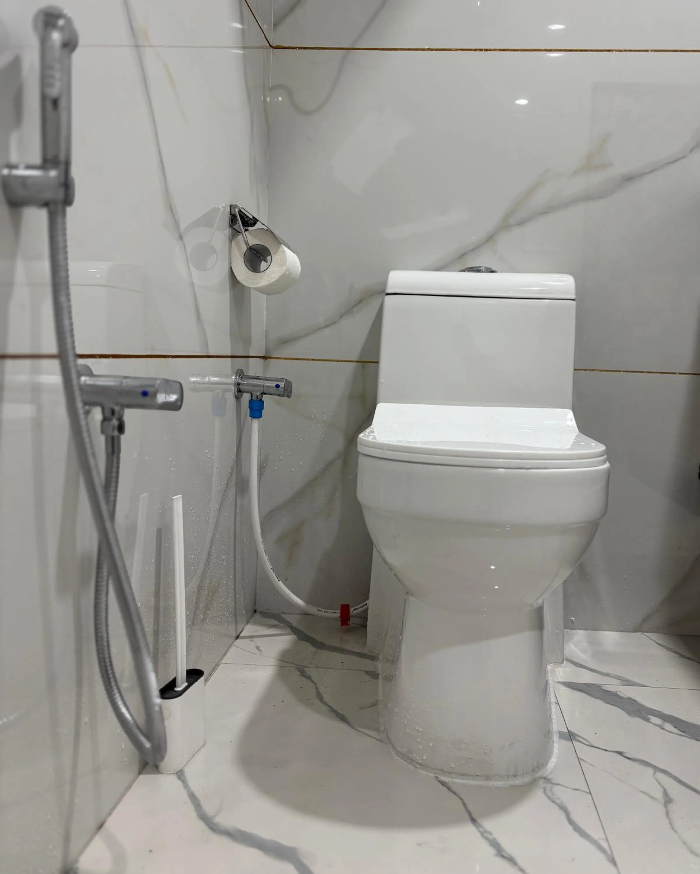 Toilet in Hotel Crescent