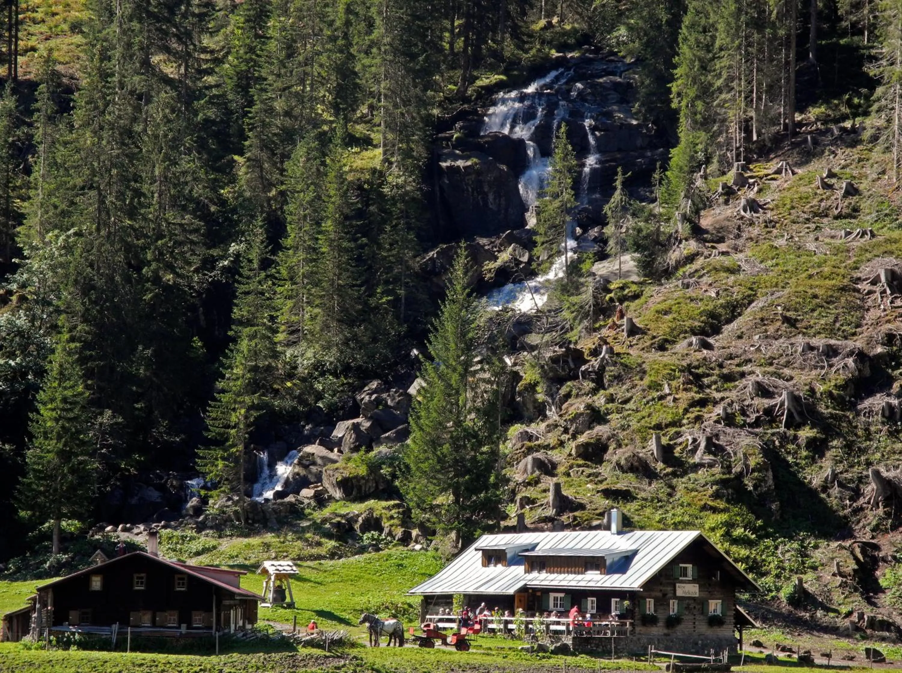 Area and facilities in Haller's Geniesserhotel