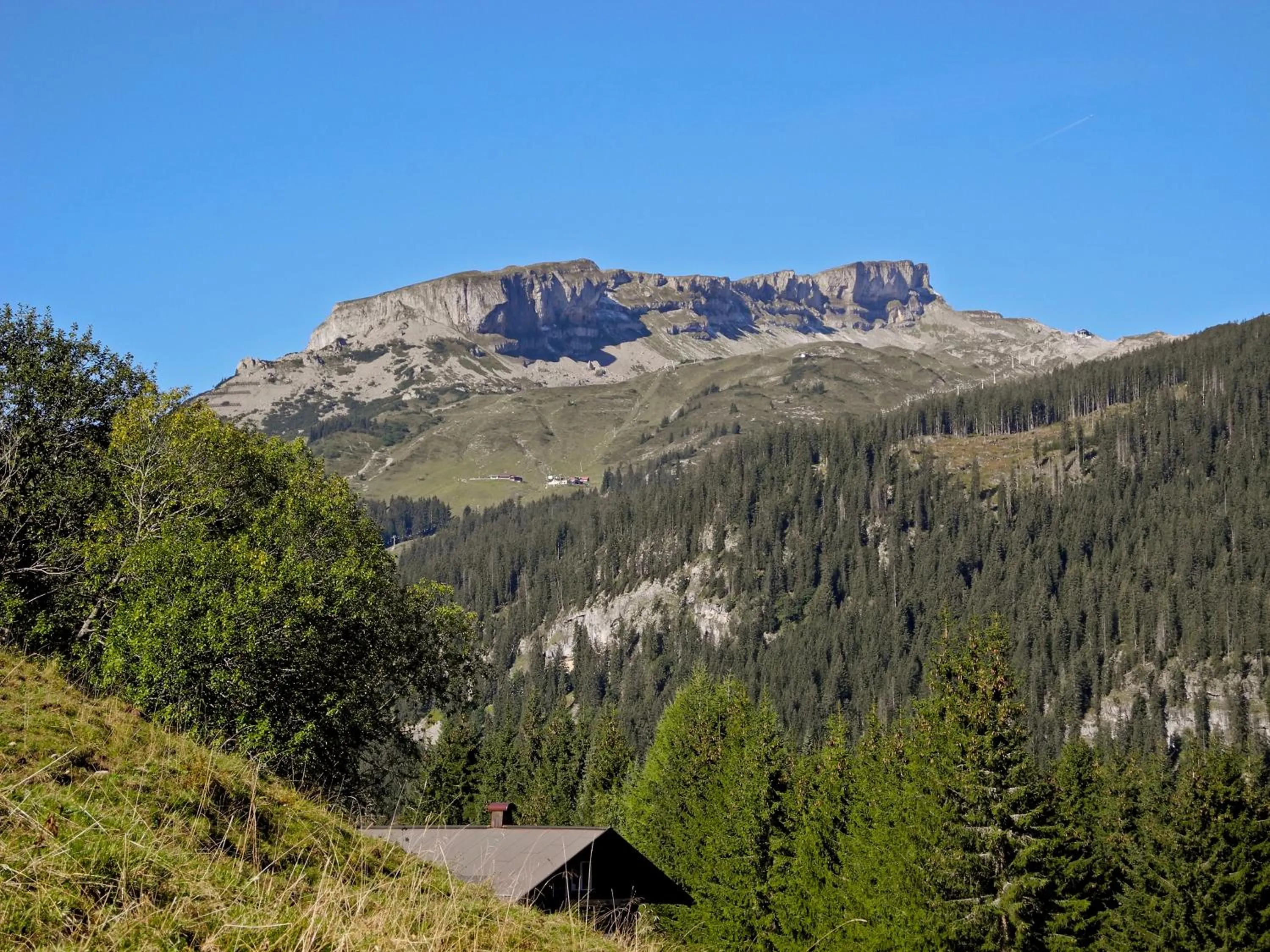 Area and facilities in Haller's Geniesserhotel