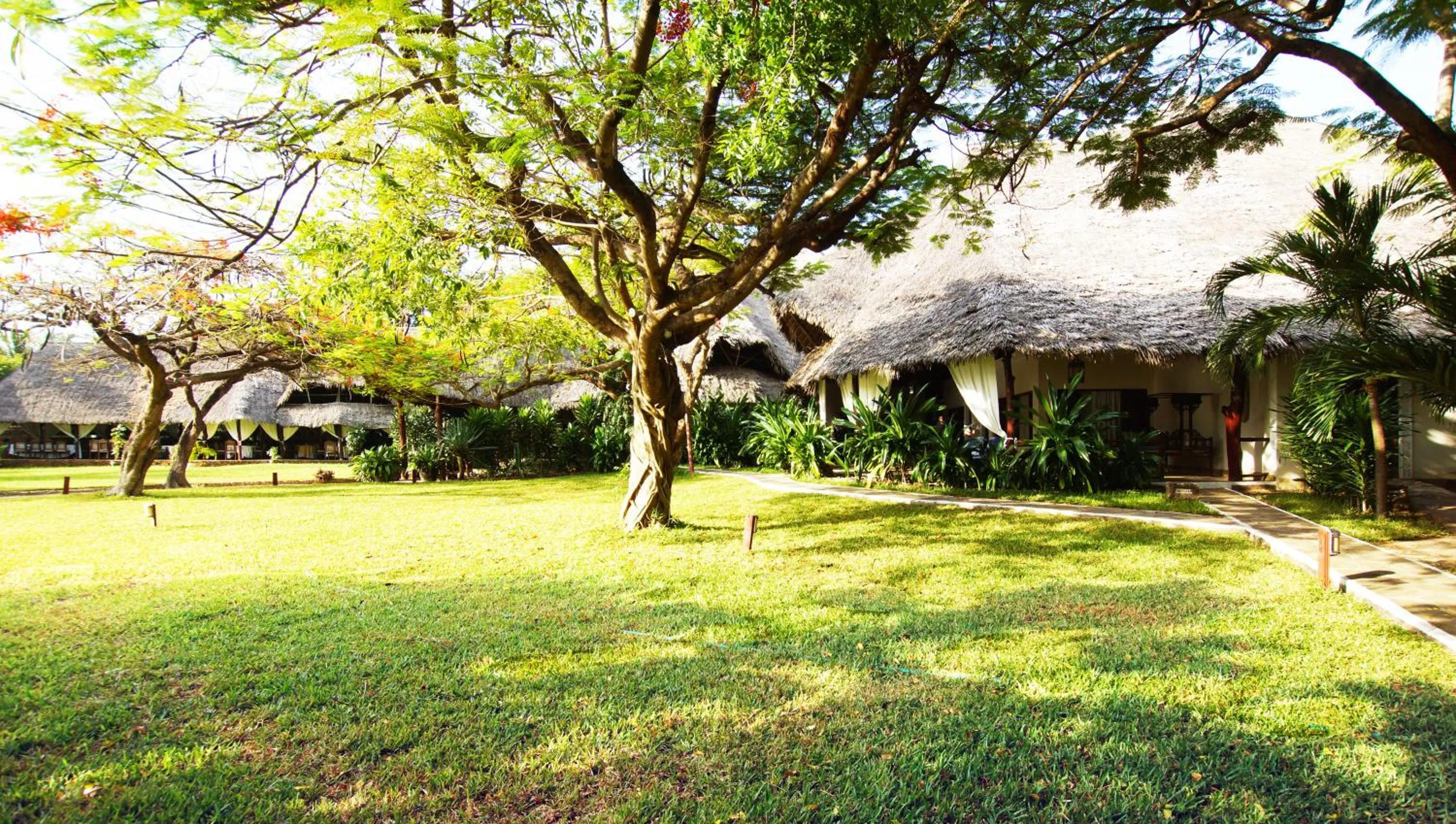 Garden in Kilili Baharini Resort & Spa