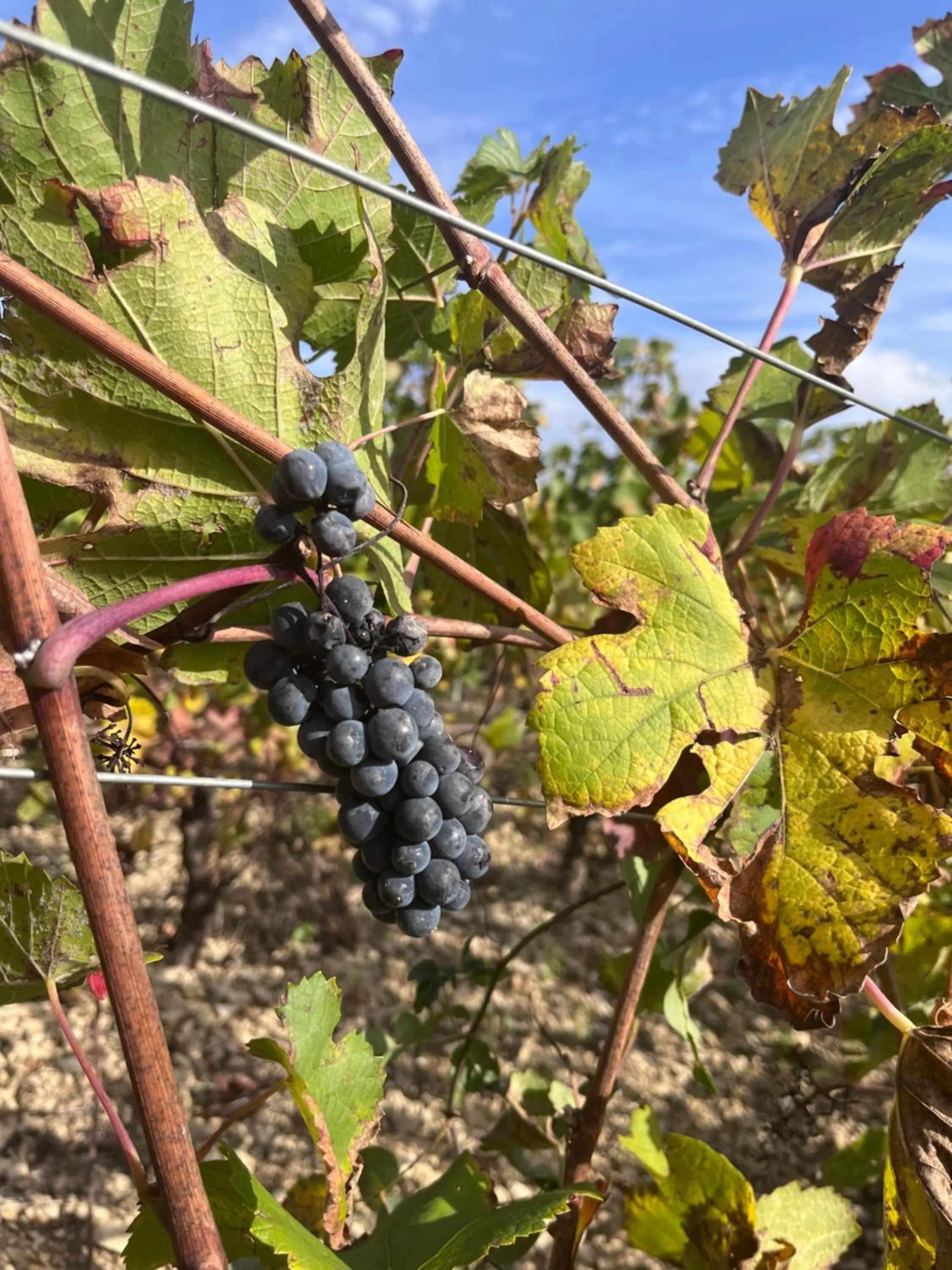 Nearby landmark in L'abbaye Saint Michel