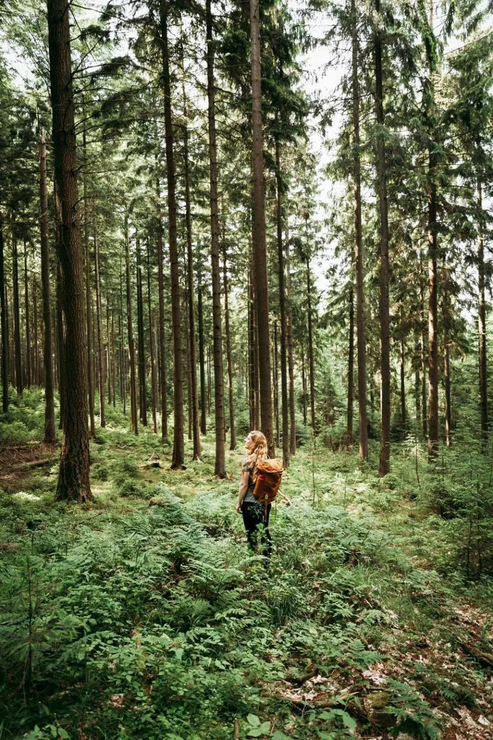 Area and facilities in Vejlsøhus Hotel and Conference Center
