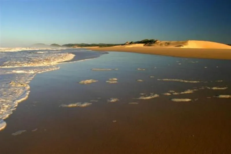 Natural landscape in Oyster Bay Beach Lodge