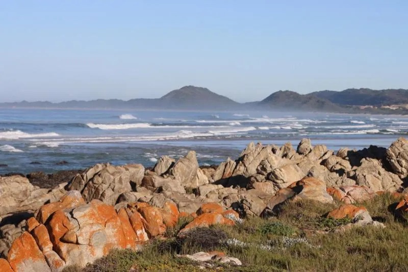 Sea view in Oyster Bay Beach Lodge