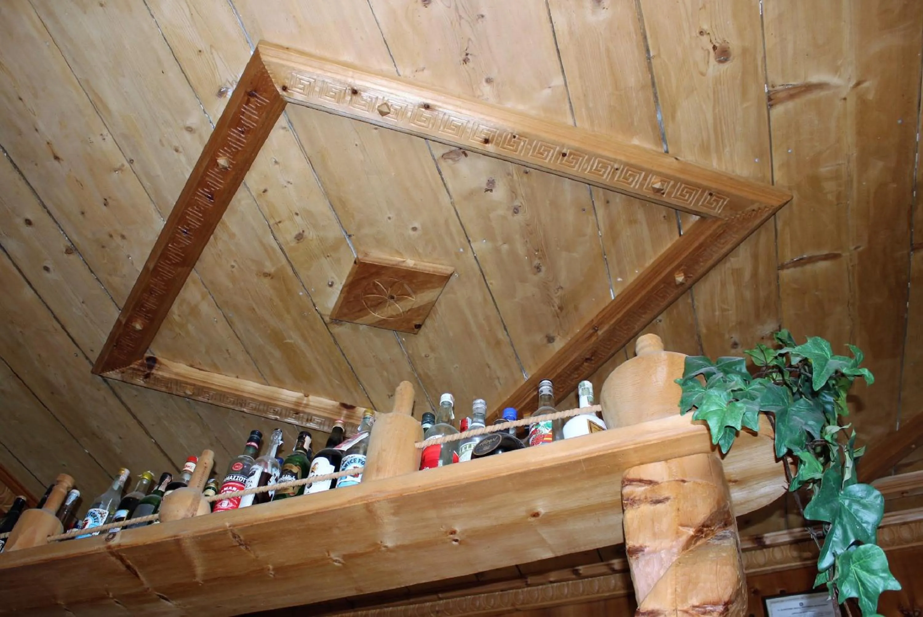 Entertainment in Hotel Villa Rina