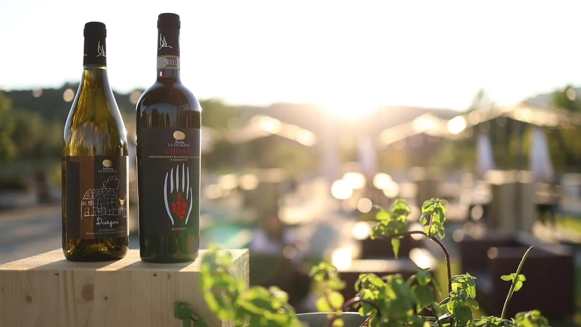 Alcoholic drinks in Palagina la cascina