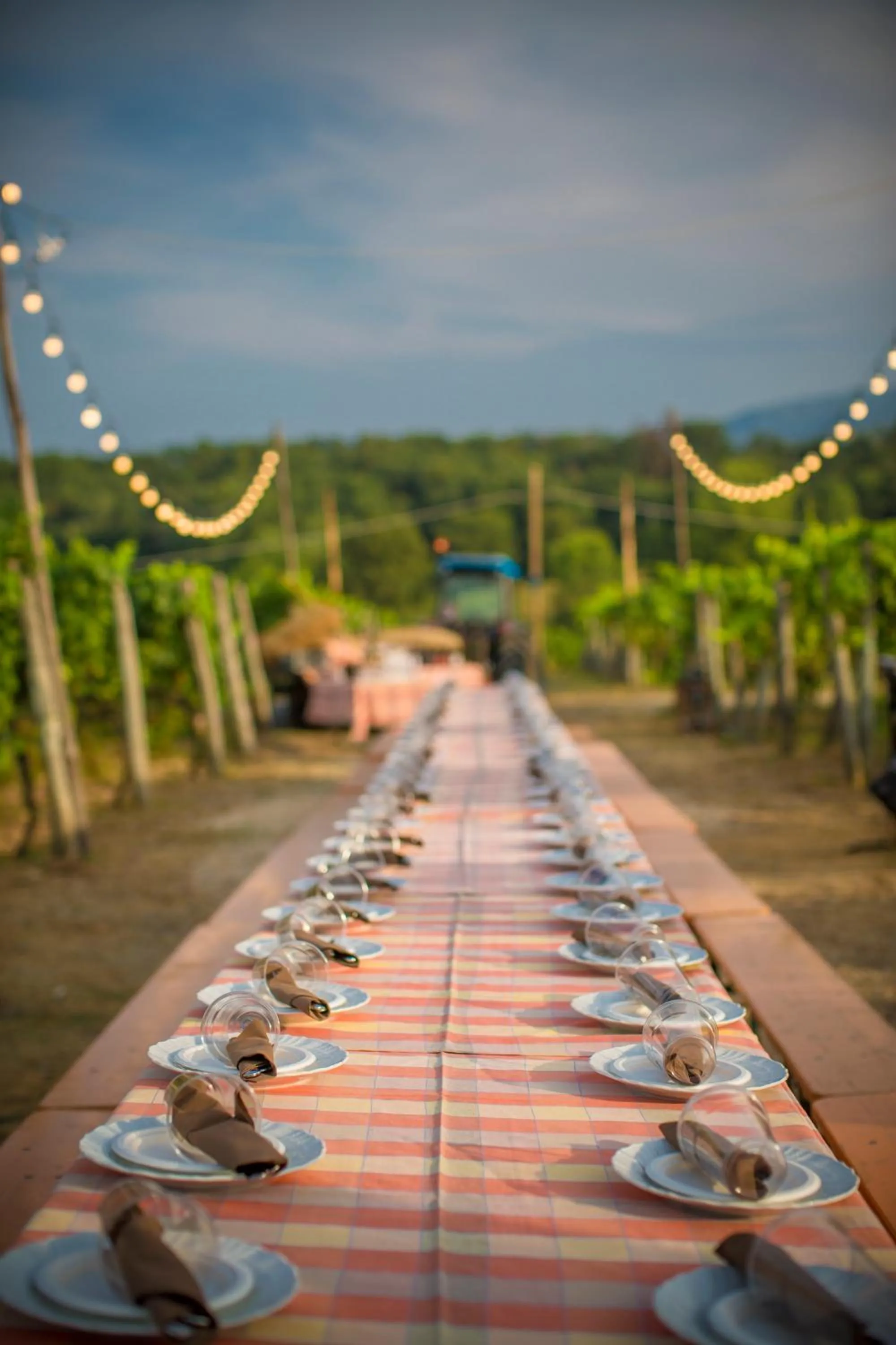 Natural landscape in Palagina la cascina