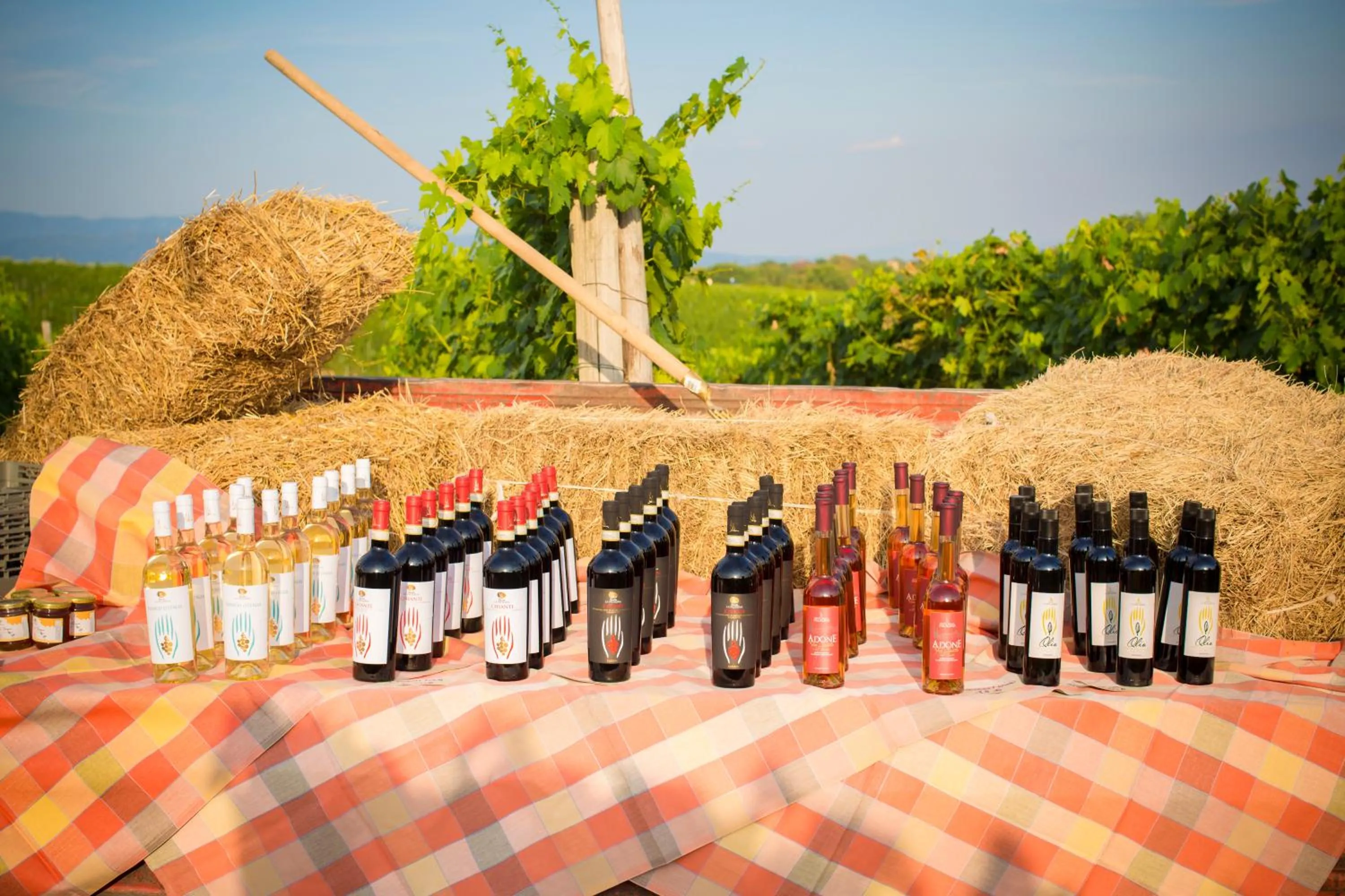 Natural landscape in Palagina la cascina