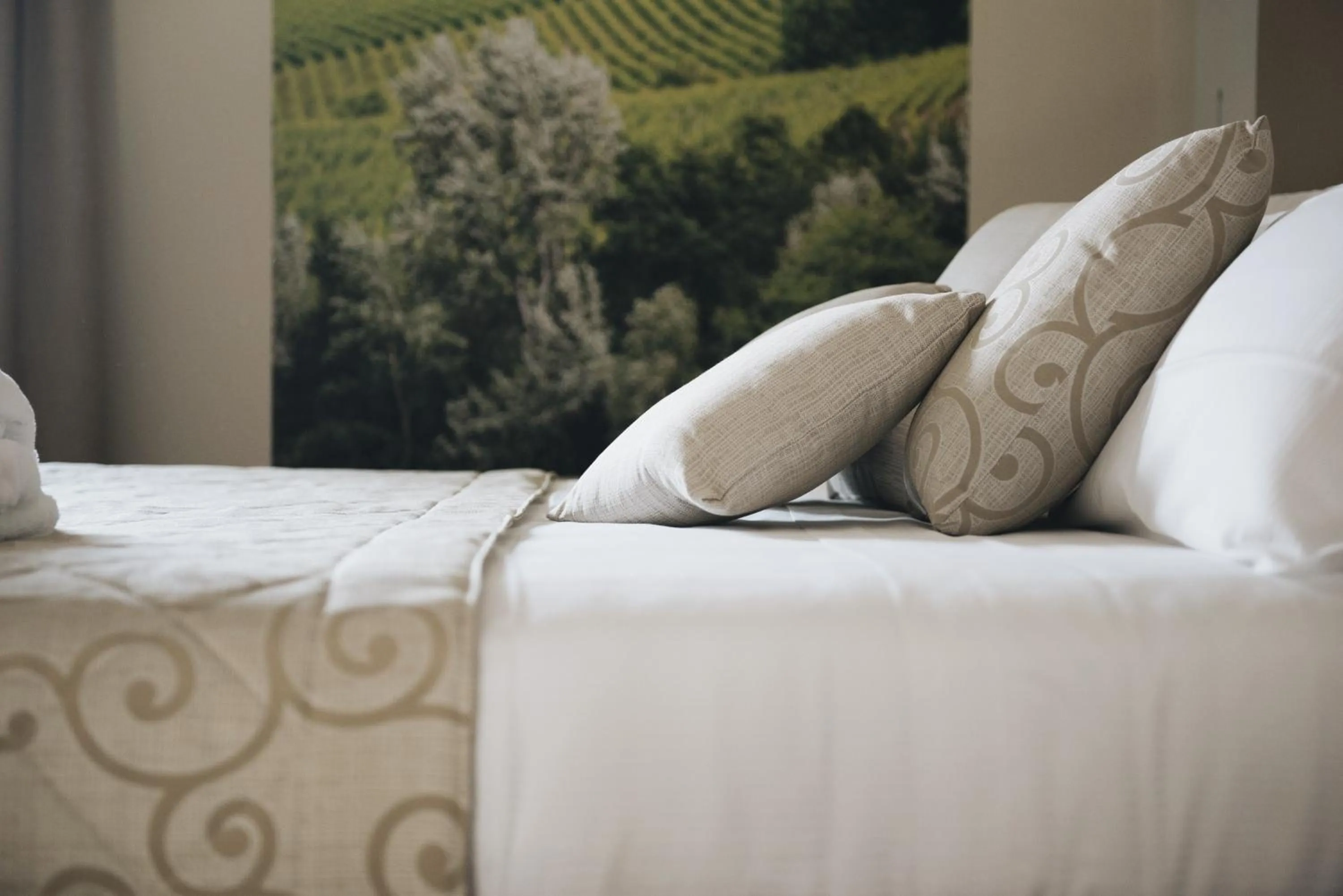 Bed in Cascina Speranza Hotel